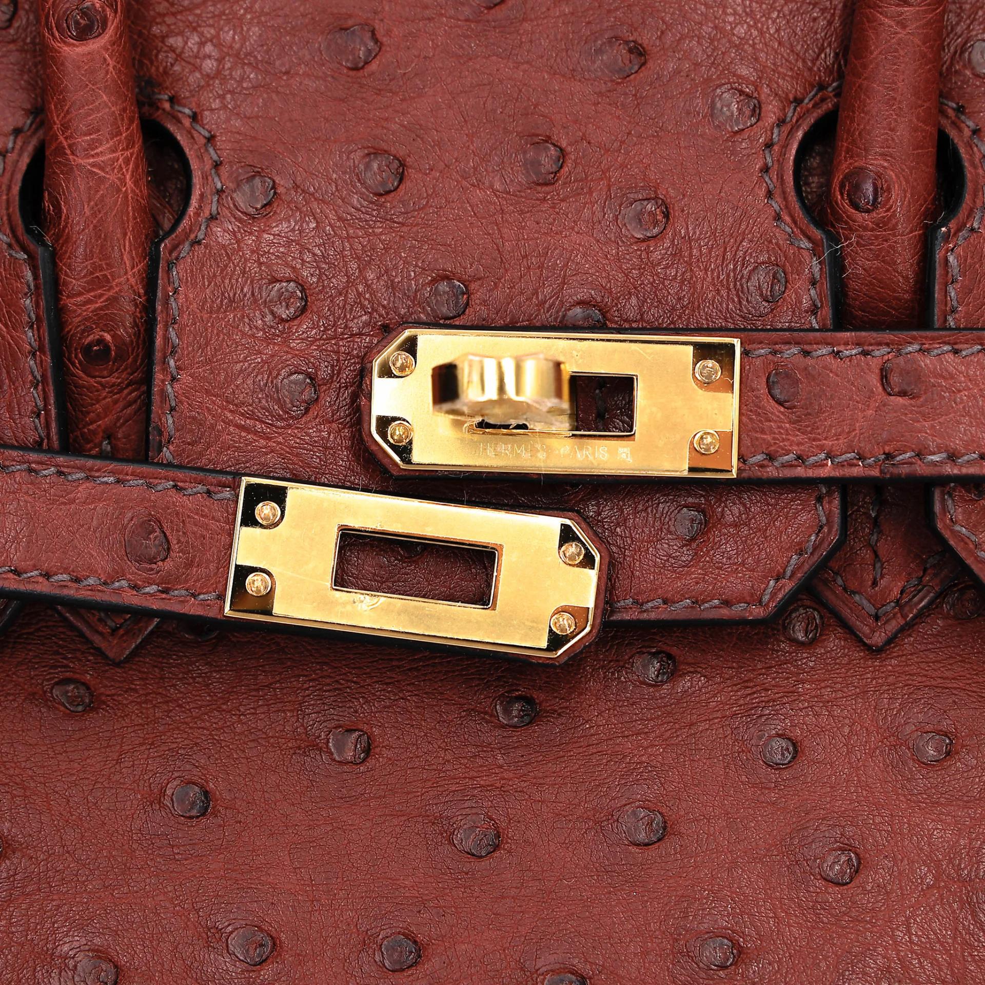 Brand New ( Rank N ) HERMÈS Birkin 25 Rouge H (55) Ostrich Gold hardware G (2026) - 8