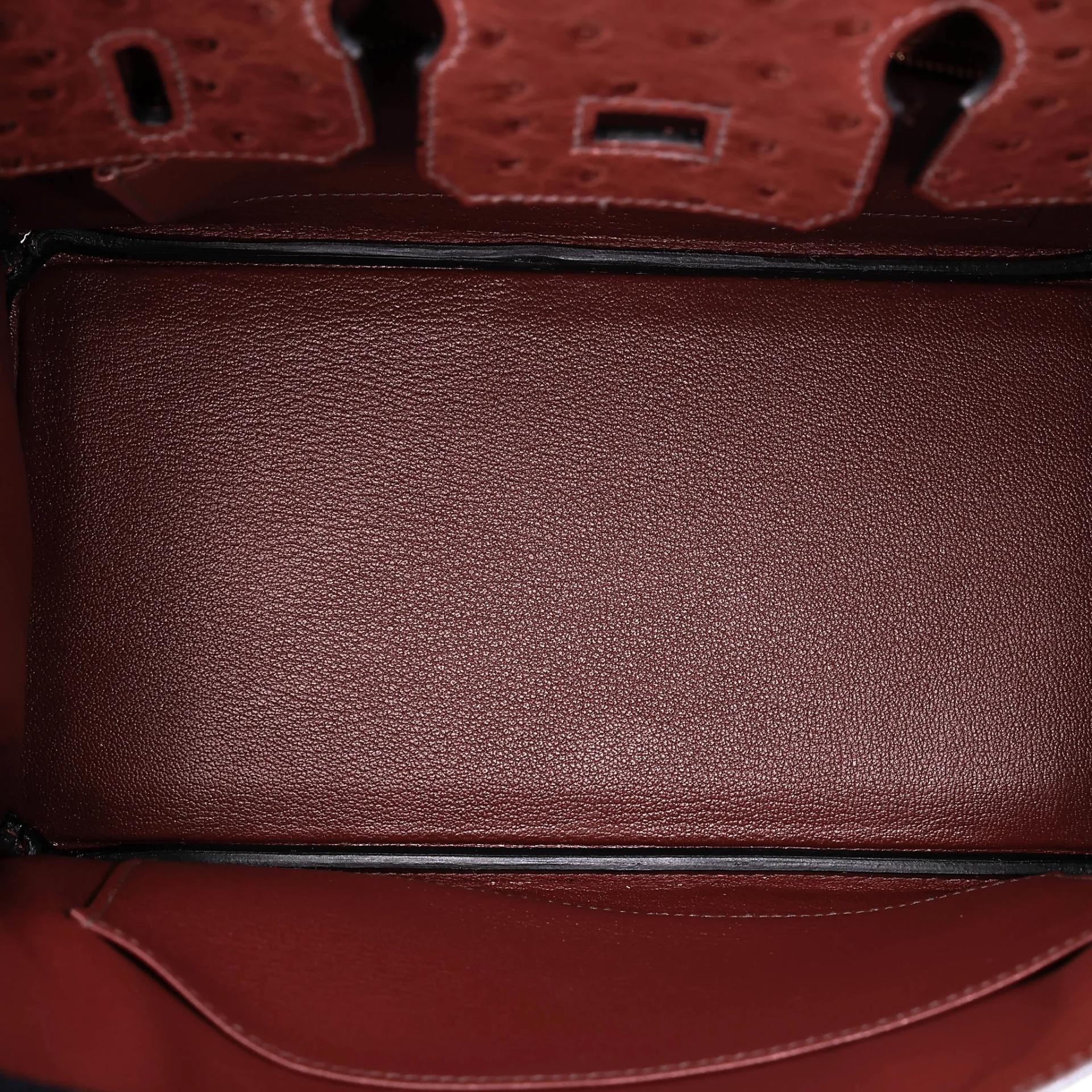 Brand New ( Rank N ) HERMÈS Birkin 25 Rouge H (55) Ostrich Gold hardware G (2026) - 16