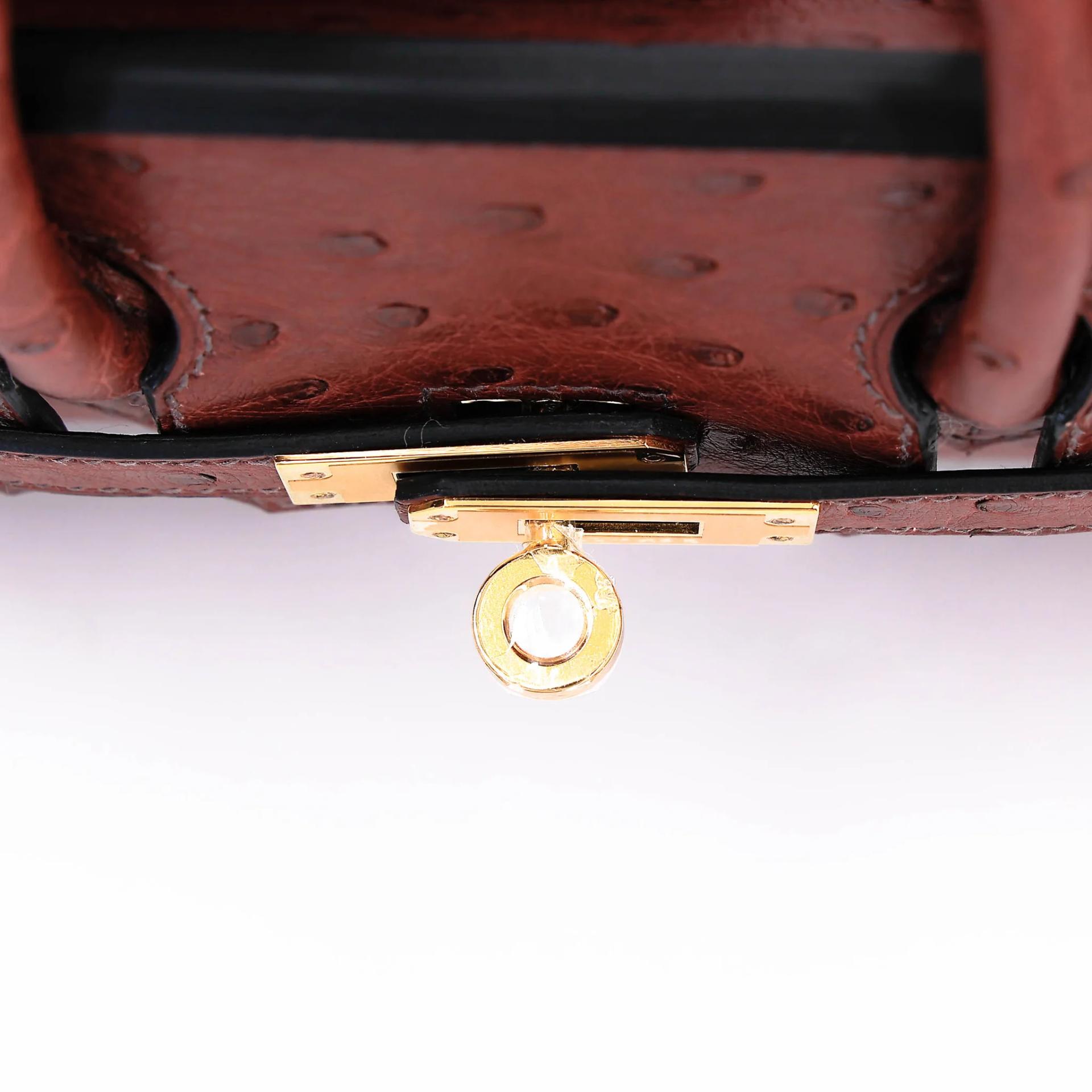 Brand New ( Rank N ) HERMÈS Birkin 25 Rouge H (55) Ostrich Gold hardware G (2026) - 9
