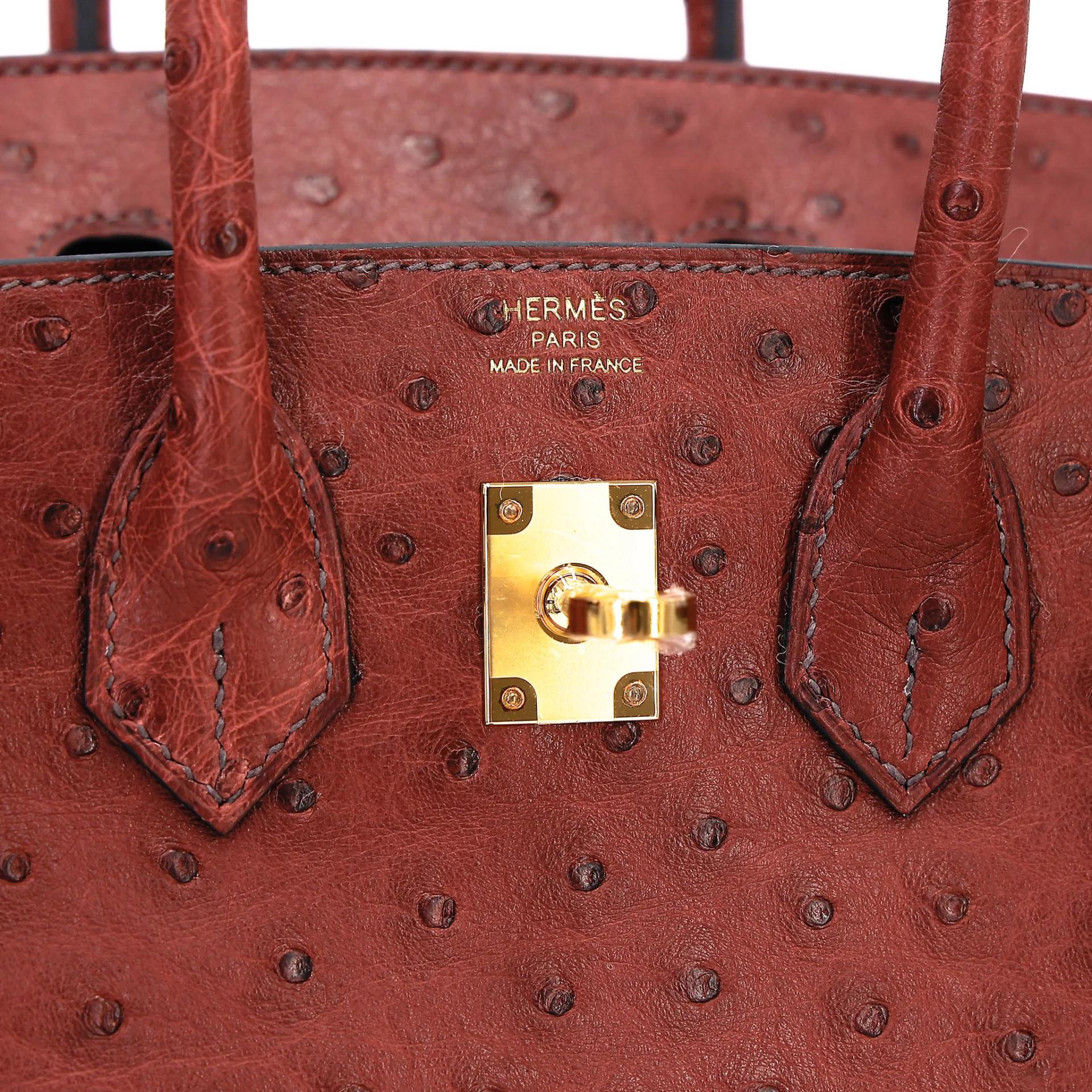Brand New ( Rank N ) HERMÈS Birkin 25 Rouge H (55) Ostrich Gold hardware G (2026) - 10