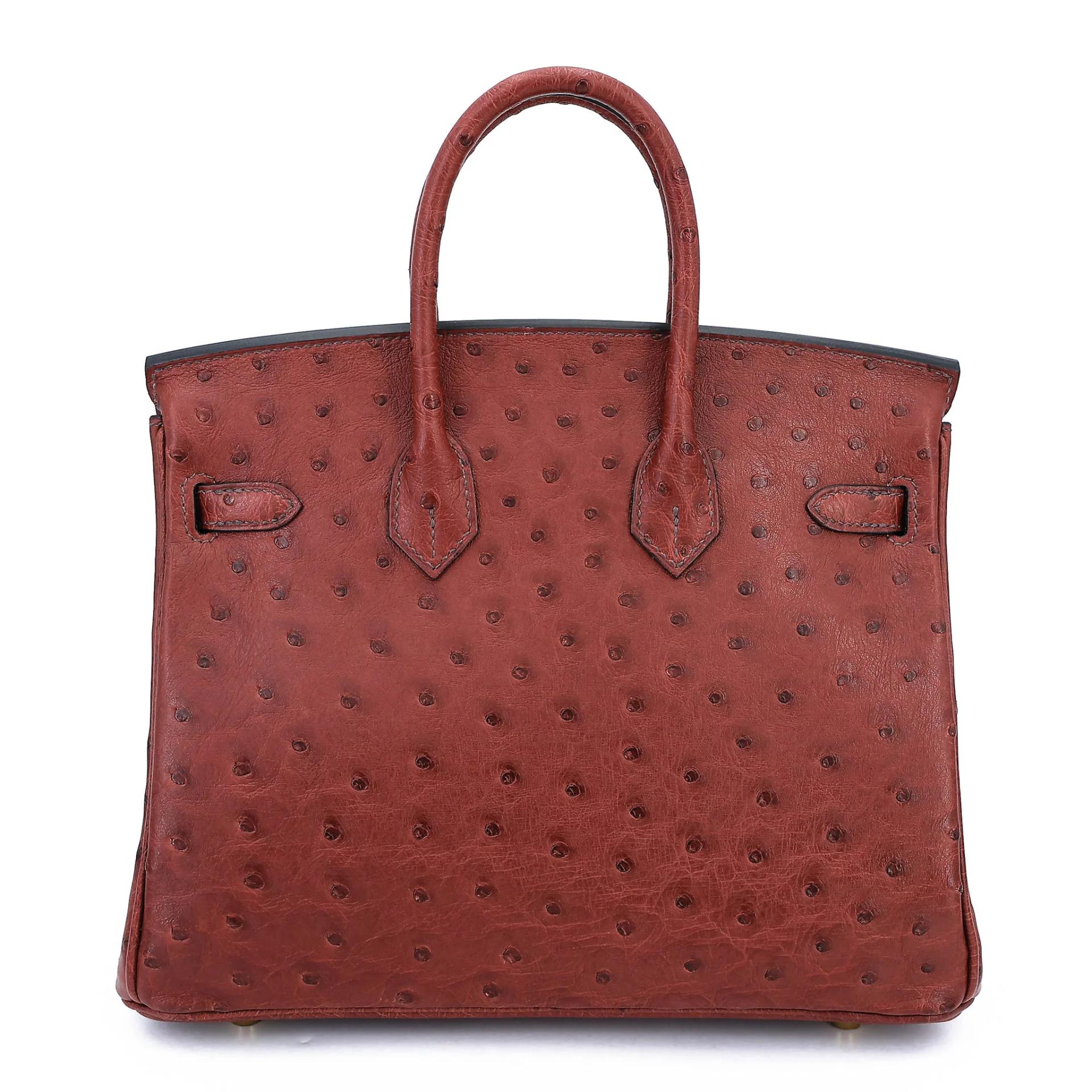 Brand New ( Rank N ) HERMÈS Birkin 25 Rouge H (55) Ostrich Gold hardware G (2026) - 2