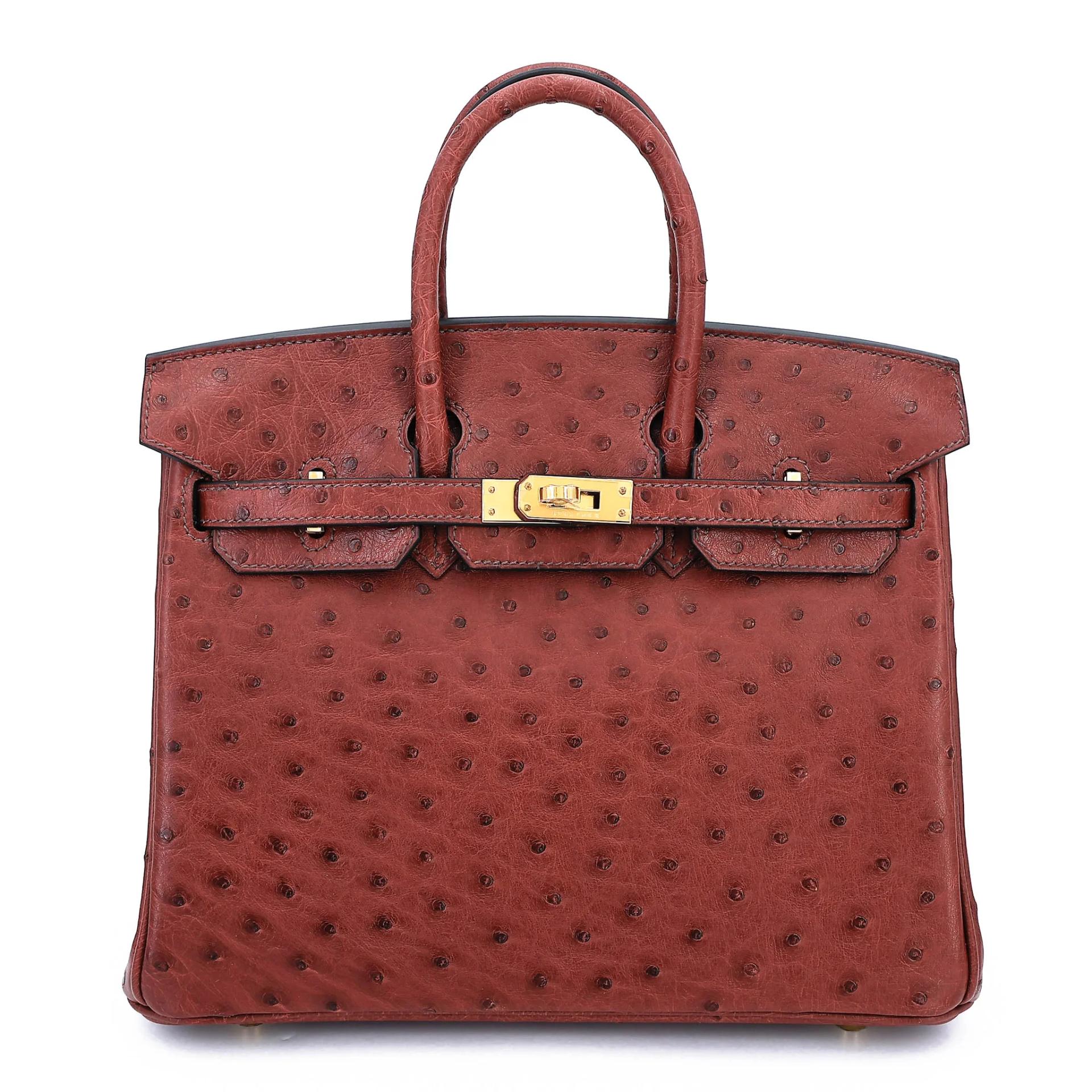 Birkin 25 Rouge H (55)