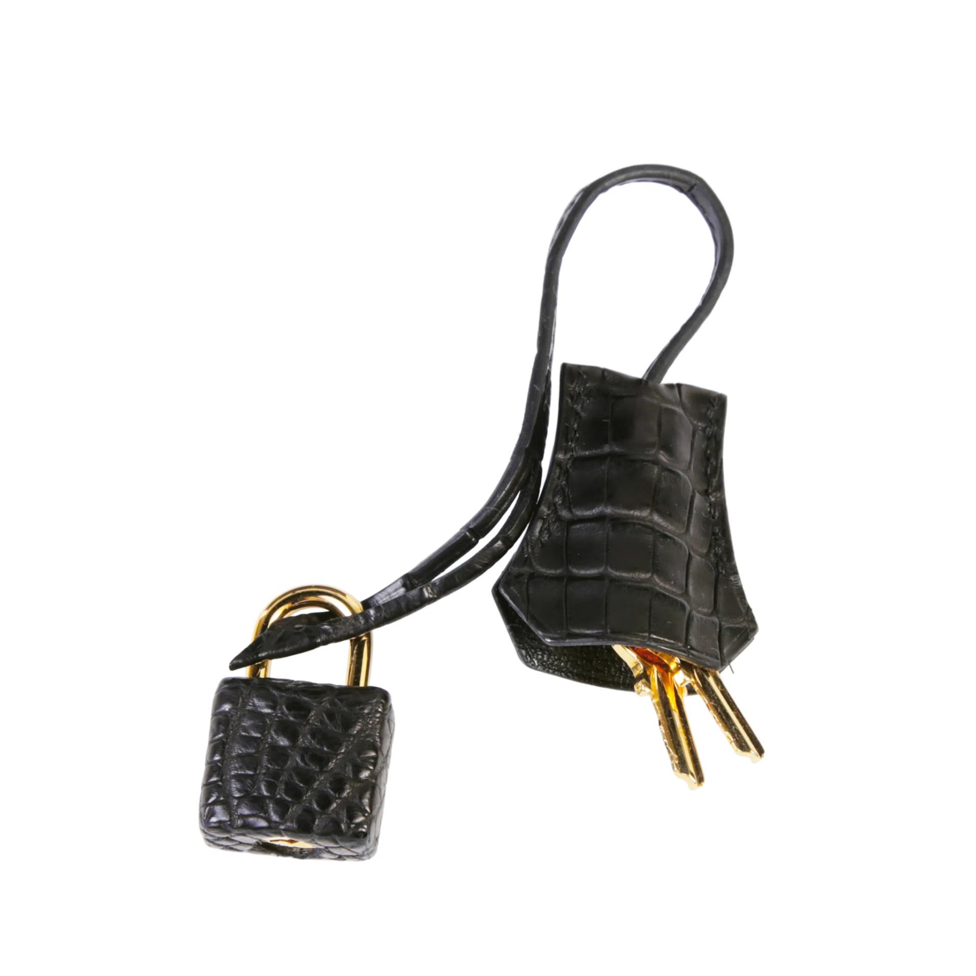 Brand New ( Rank N ) HERMÈS Birkin 25 Touch Noir (89) Togo Matte Alligator Gold hardware K (2025) - 14