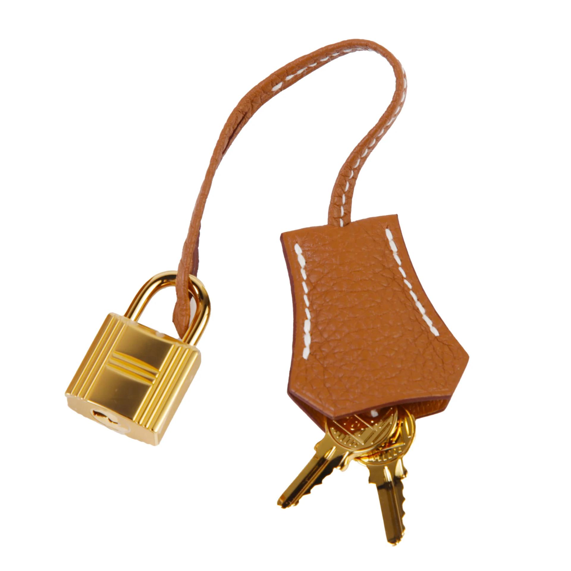Brand New ( Rank N ) HERMÈS Birkin 25 Gold (37) Togo Gold hardware G (2026) - 14