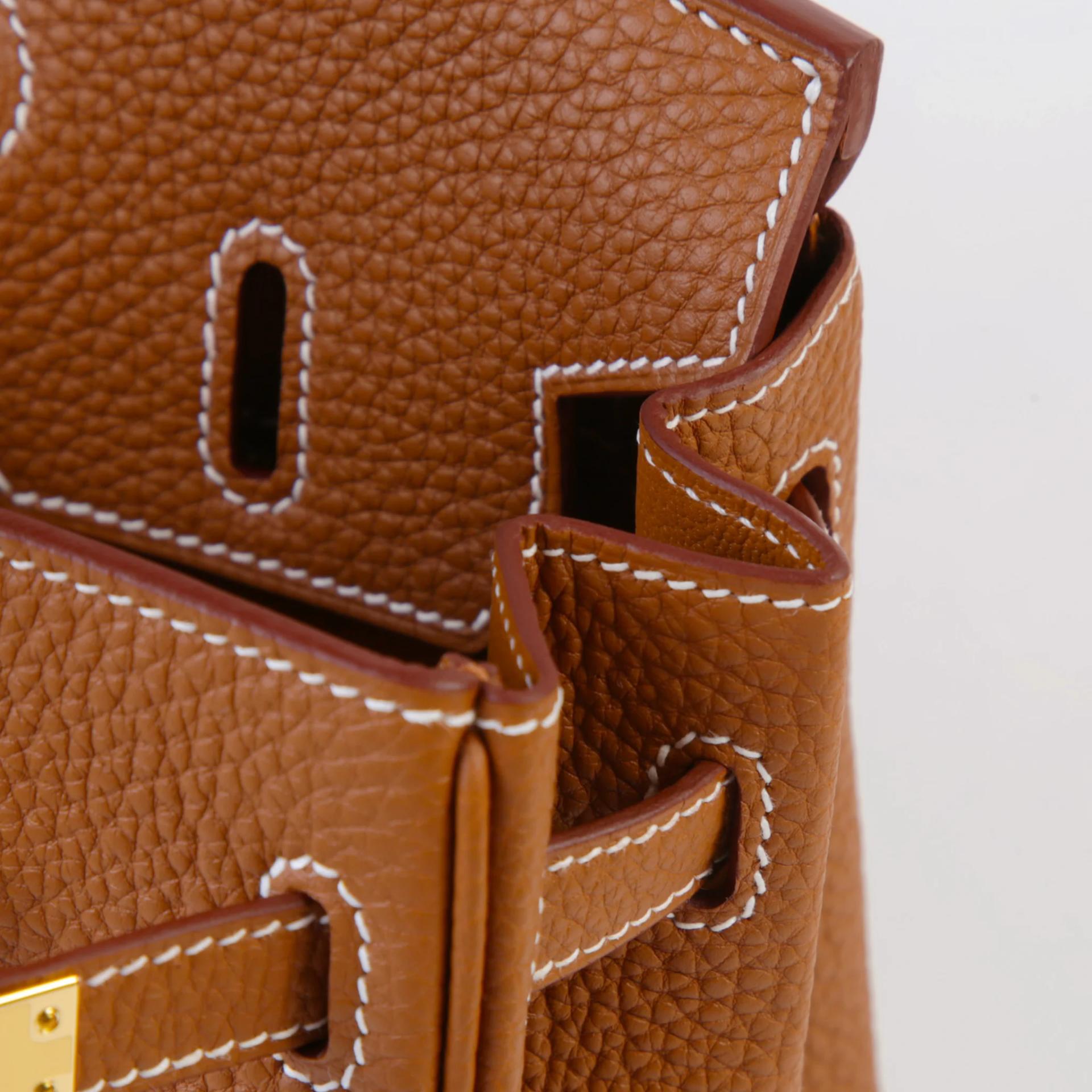 Brand New ( Rank N ) HERMÈS Birkin 25 Gold (37) Togo Gold hardware G (2026) - 11