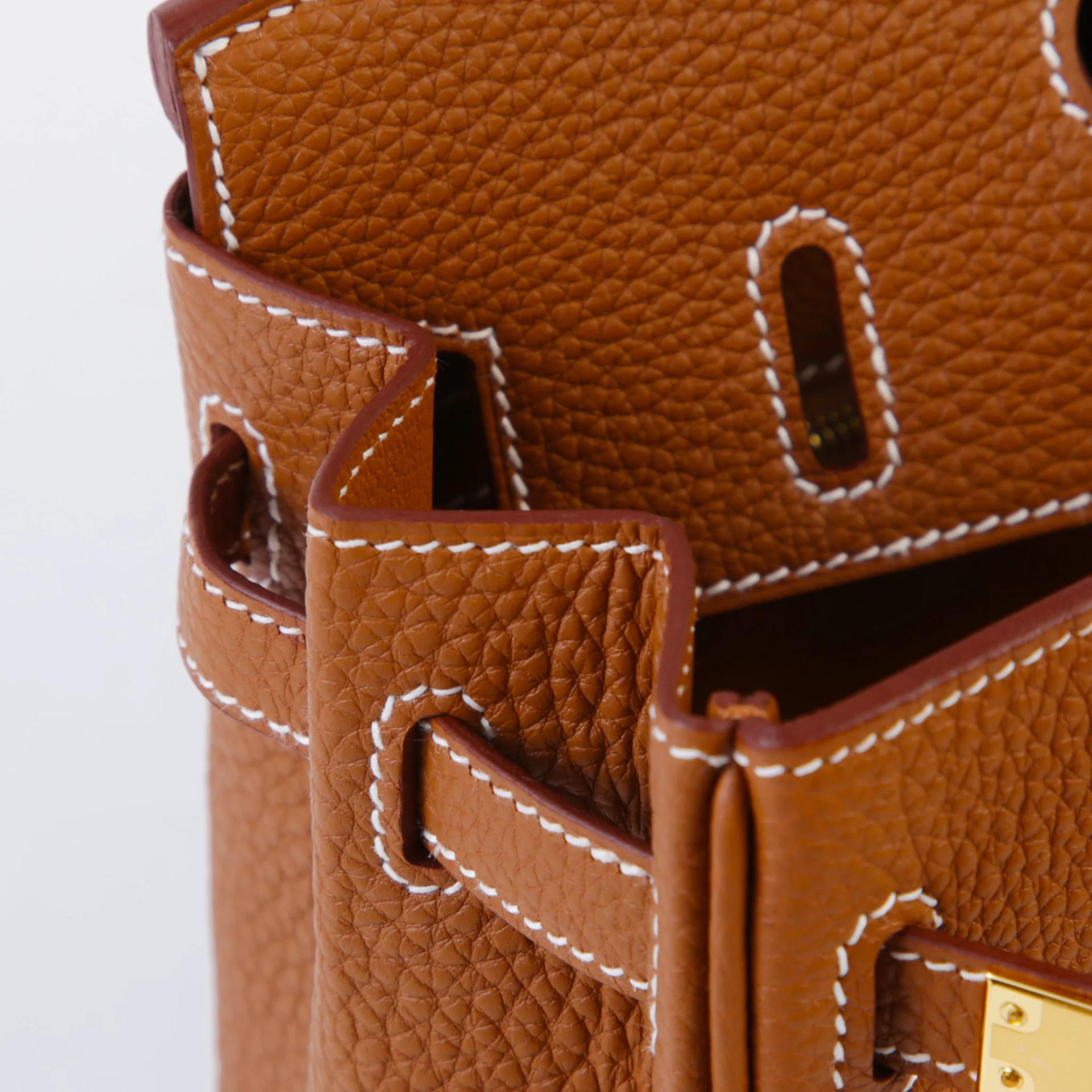 Brand New ( Rank N ) HERMÈS Birkin 25 Gold (37) Togo Gold hardware G (2026) - 12