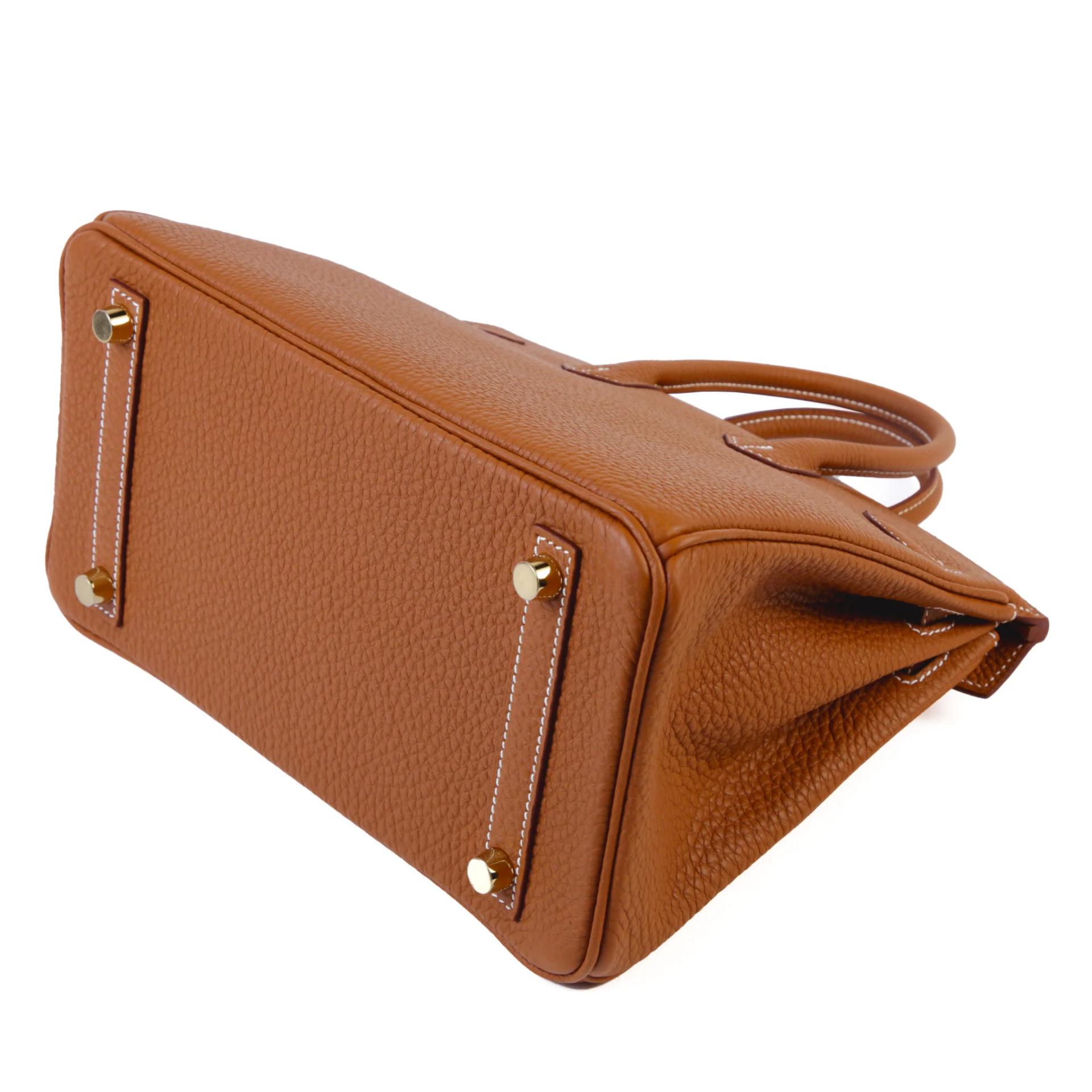 Brand New ( Rank N ) HERMÈS Birkin 25 Gold (37) Togo Gold hardware G (2026) - 7