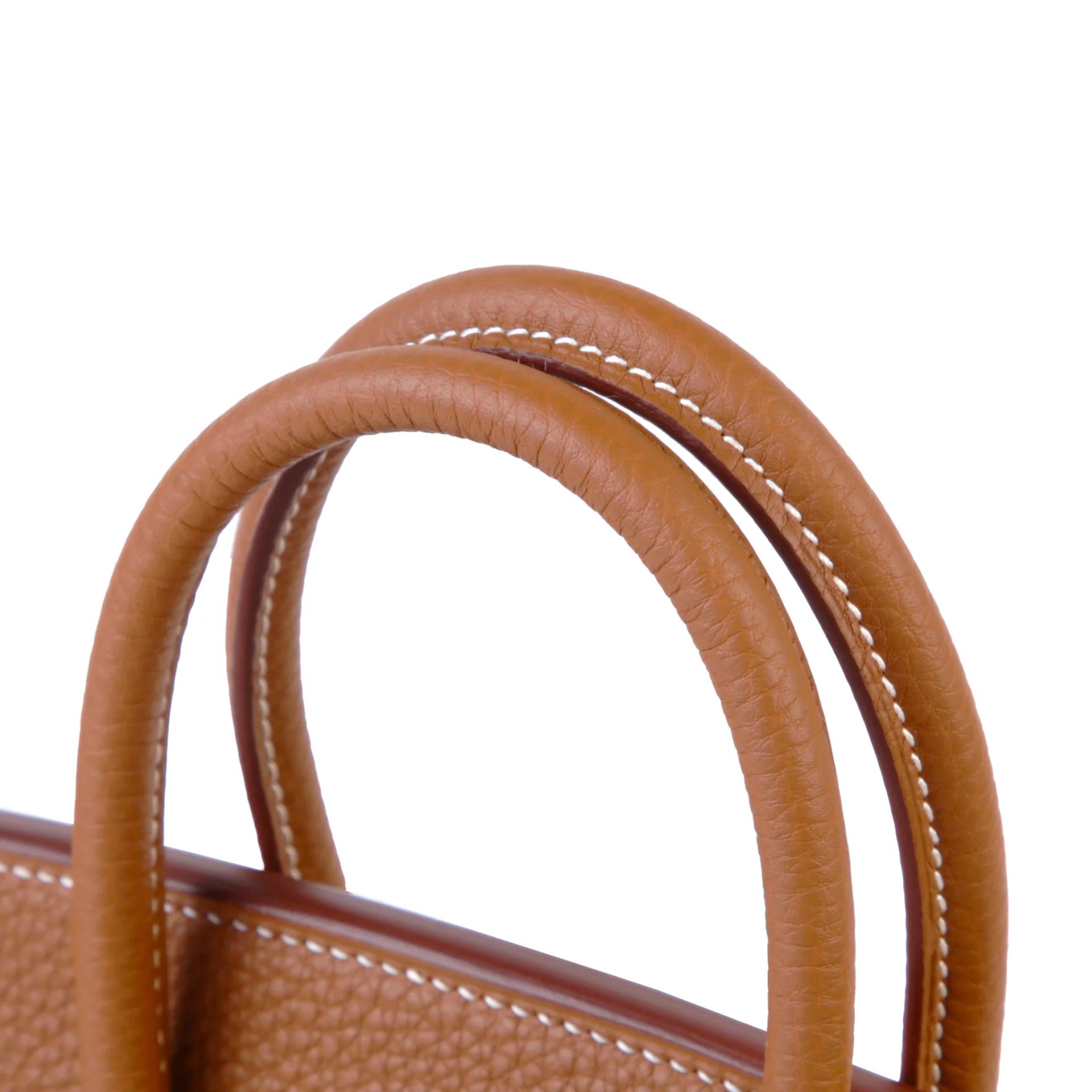Brand New ( Rank N ) HERMÈS Birkin 25 Gold (37) Togo Gold hardware G (2026) - 3