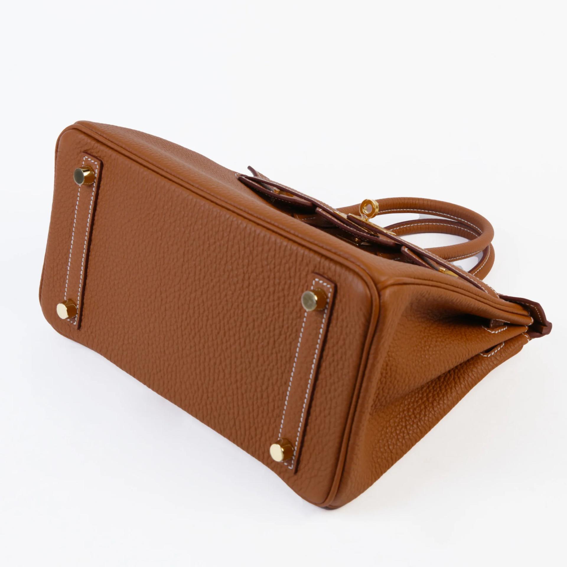 Brand New ( Rank N ) HERMÈS Birkin 25 Gold (37) Togo Gold hardware G (2026) - 5