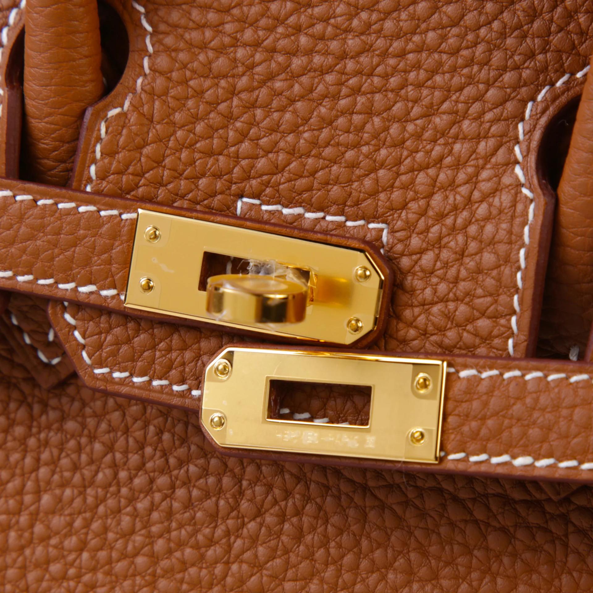 Brand New ( Rank N ) HERMÈS Birkin 25 Gold (37) Togo Gold hardware G (2026) - 8