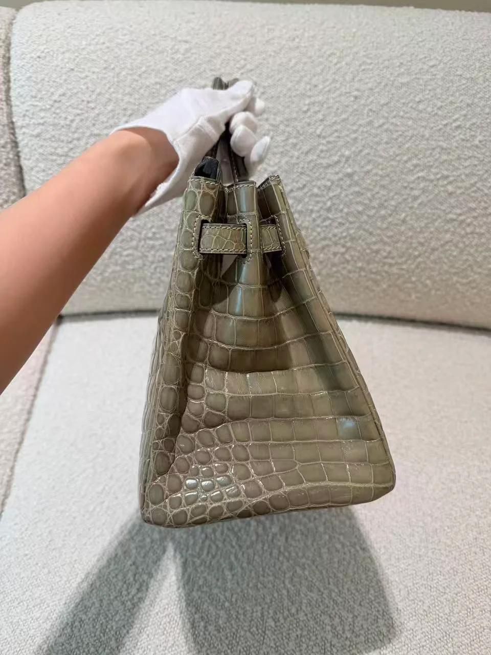 Very Good ( Rank A) HERMÈS Birkin 30 Gris Tourterelle (81) Shiny Niloticus Crocodile Gold hardware X (2016) - 9