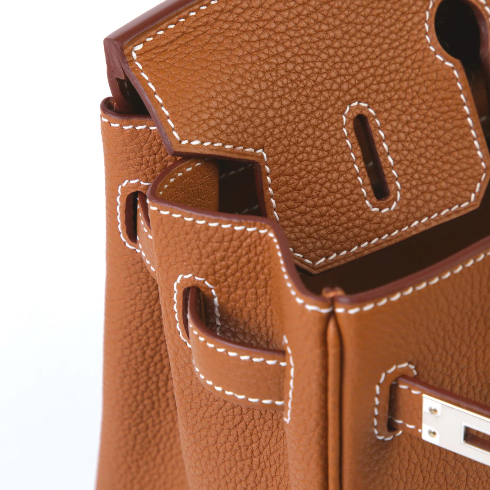 Brand New ( Rank N ) HERMÈS Birkin 25 Gold (37) Togo Palladium hardware G (2026) - 12
