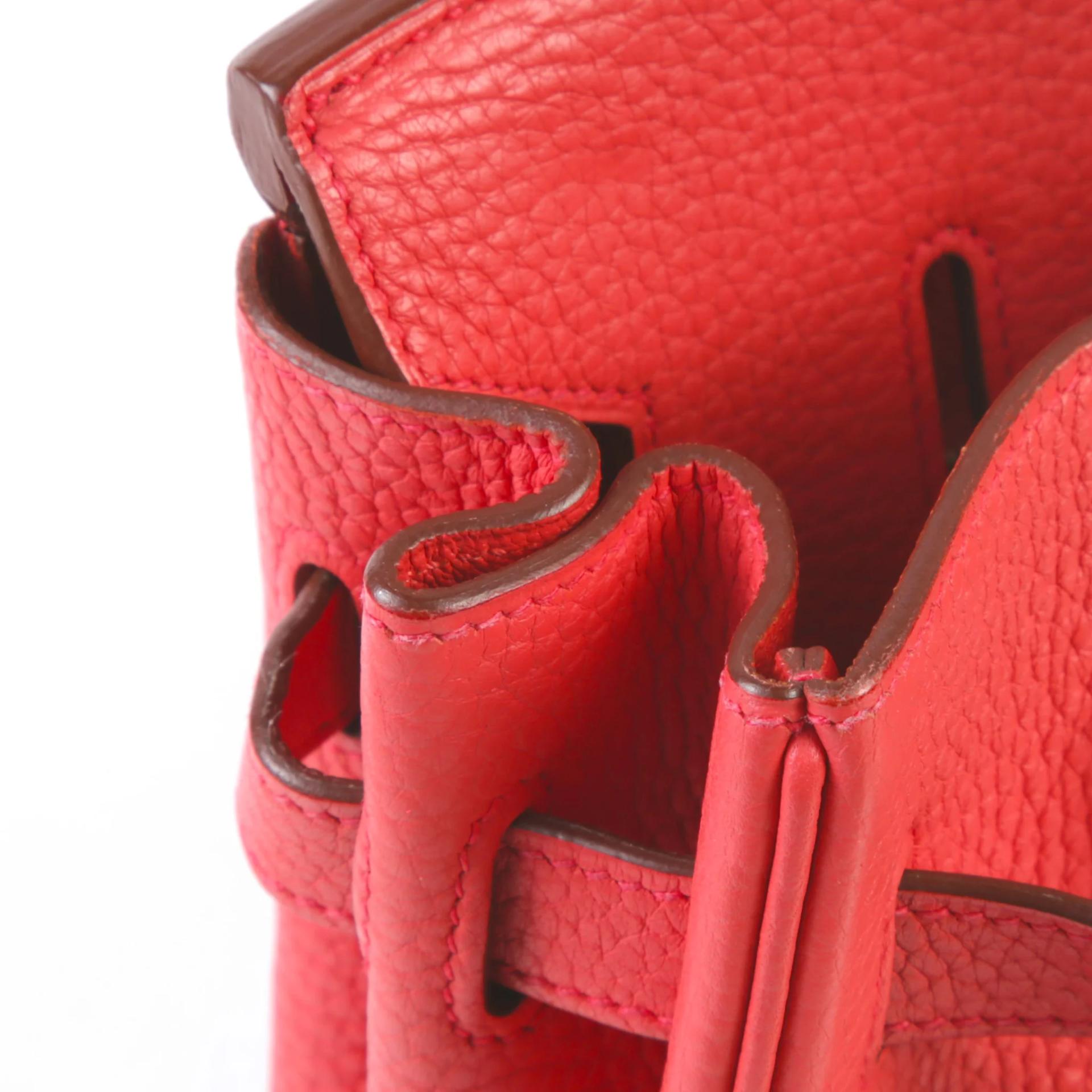 Very Good ( Rank A) HERMÈS Birkin 30 Bougainvillea (A5) Clemence Palladium hardware Square N (2010) - 13