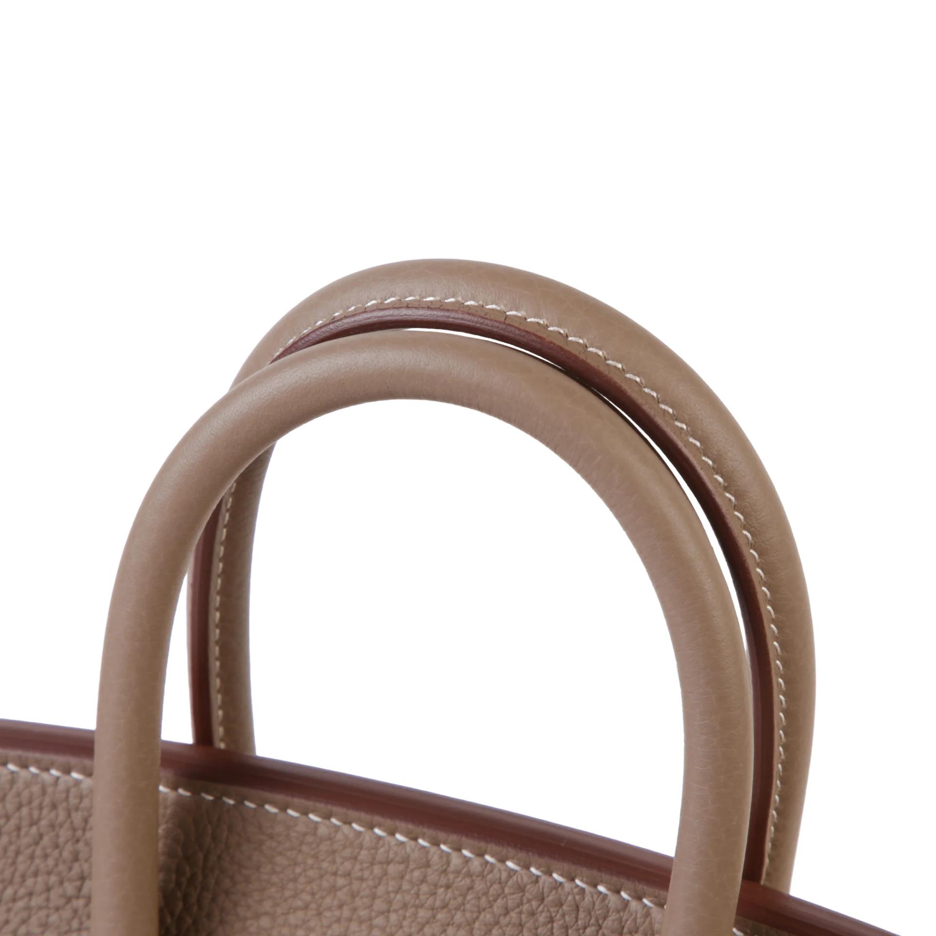Brand New ( Rank N ) HERMÈS Birkin 25 Etoupe (18) Togo Gold hardware G (2026) - 3