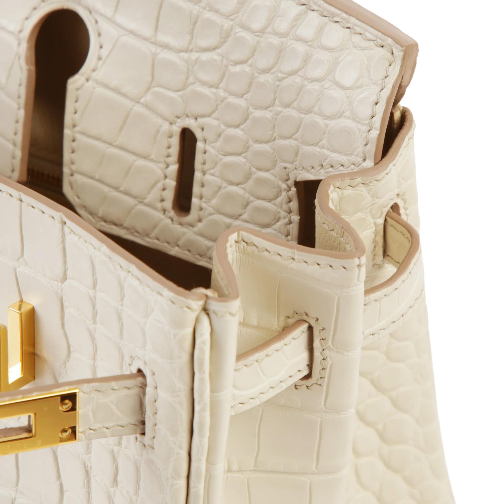 Unused ( Rank NS ) HERMÈS Birkin 25 Beton (8L) Matte Alligator Gold hardware K (2025) - 11