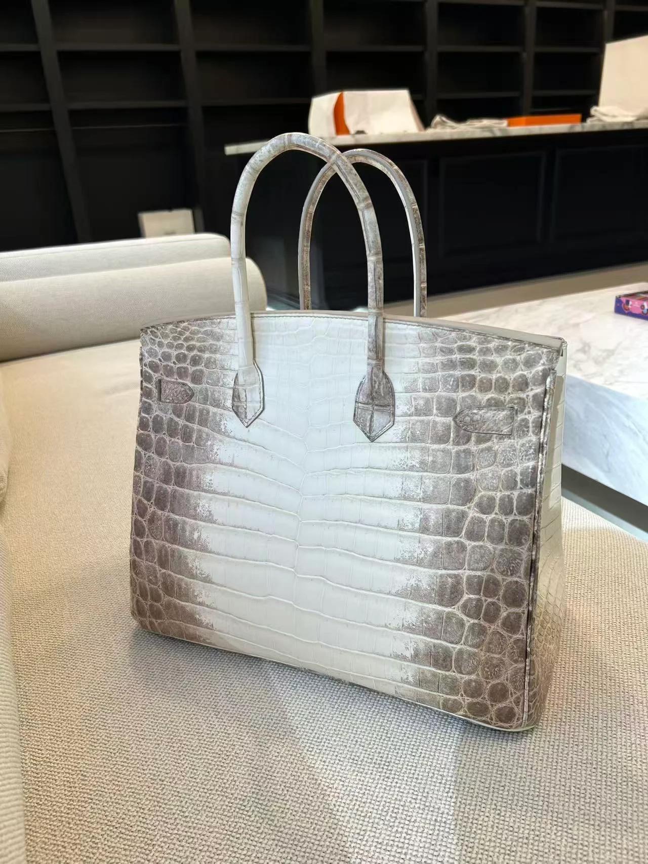 Unused ( Rank NS ) HERMÈS Limited Edition Birkin 35 Himalaya Himalaya Matte Niloticus Crocodile Palladium hardware T (2015) - 3