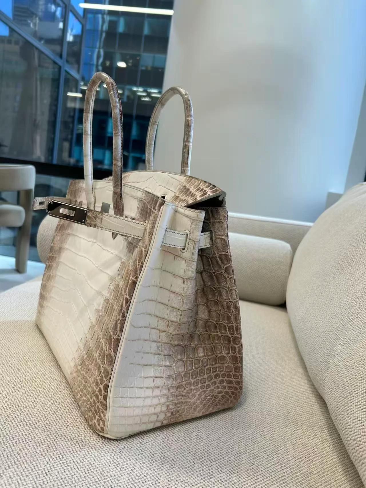 Unused ( Rank NS ) HERMÈS Limited Edition Birkin 35 Himalaya Himalaya Matte Niloticus Crocodile Palladium hardware T (2015) - 6