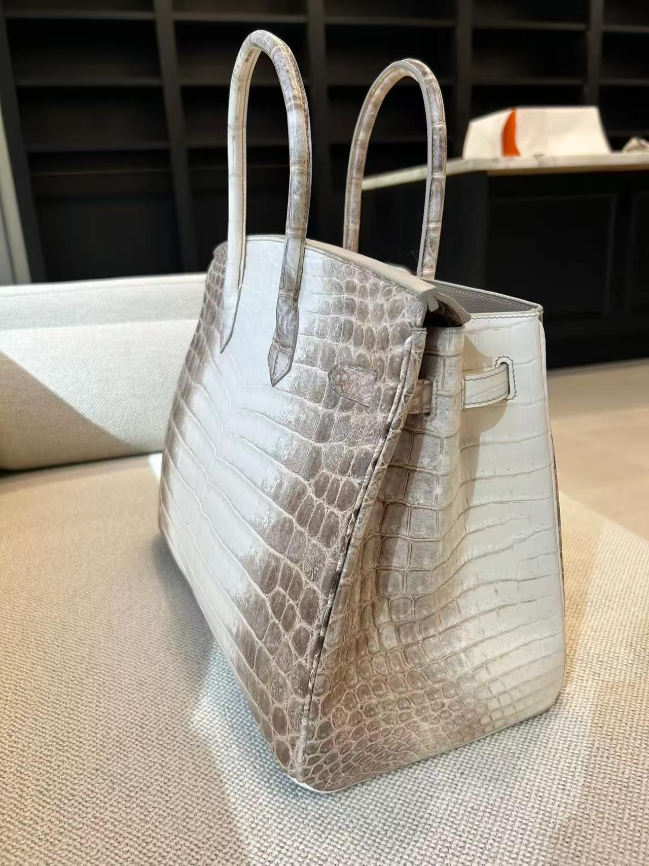 Unused ( Rank NS ) HERMÈS Limited Edition Birkin 35 Himalaya Himalaya Matte Niloticus Crocodile Palladium hardware T (2015) - 5