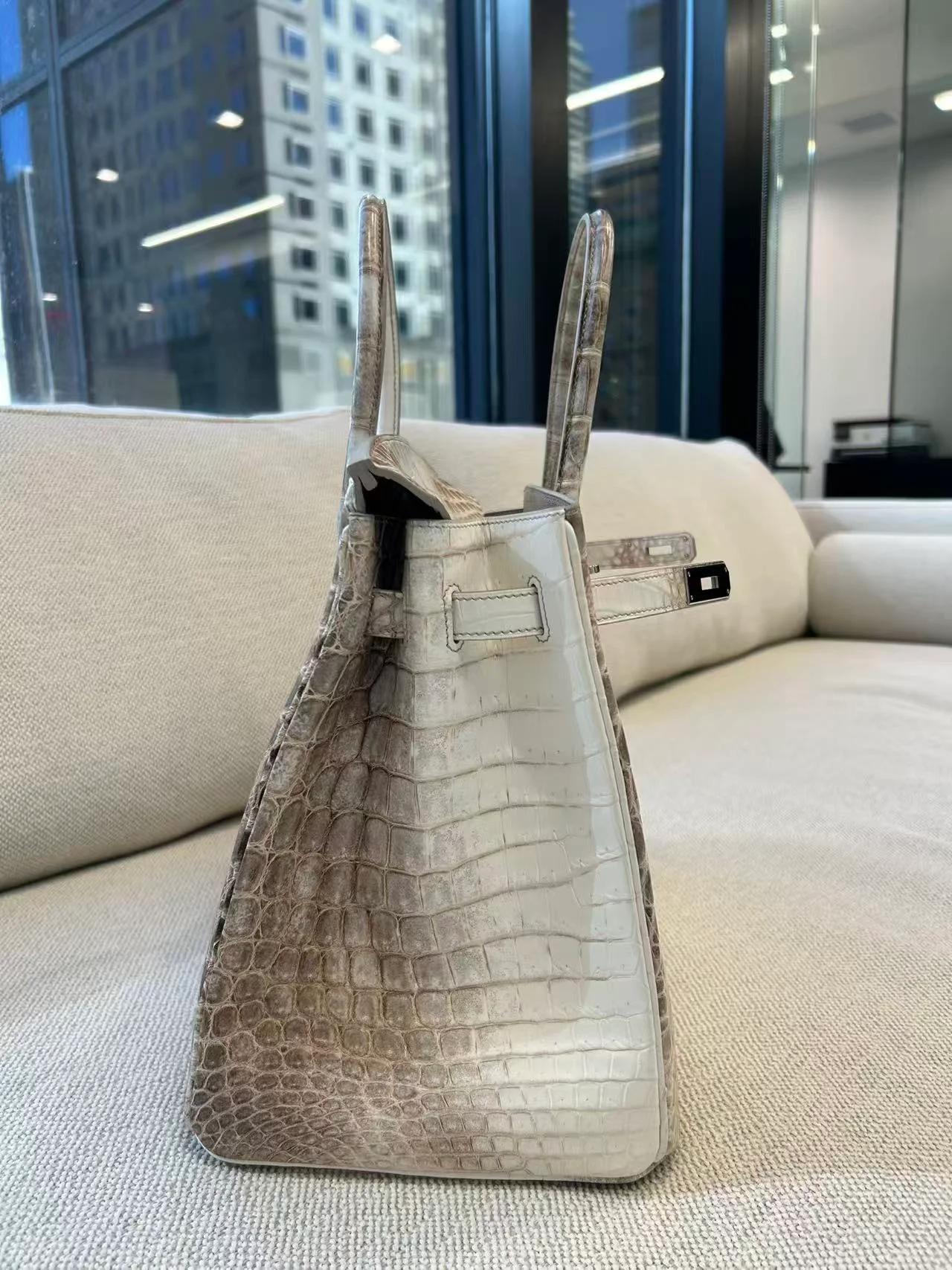 Unused ( Rank NS ) HERMÈS Limited Edition Birkin 35 Himalaya Himalaya Matte Niloticus Crocodile Palladium hardware T (2015) - 4