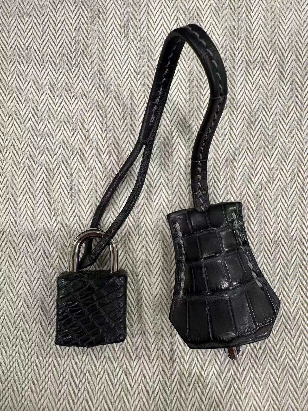 Brand New ( Rank N ) HERMÈS Birkin 25 Graphite (88) Matte Alligator Palladium hardware G (2026) - 19