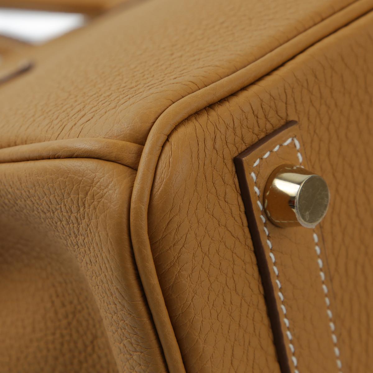 HERMÈS Birkin 25 handbag in Natural Sable Togo leather with Gold hardware - 10