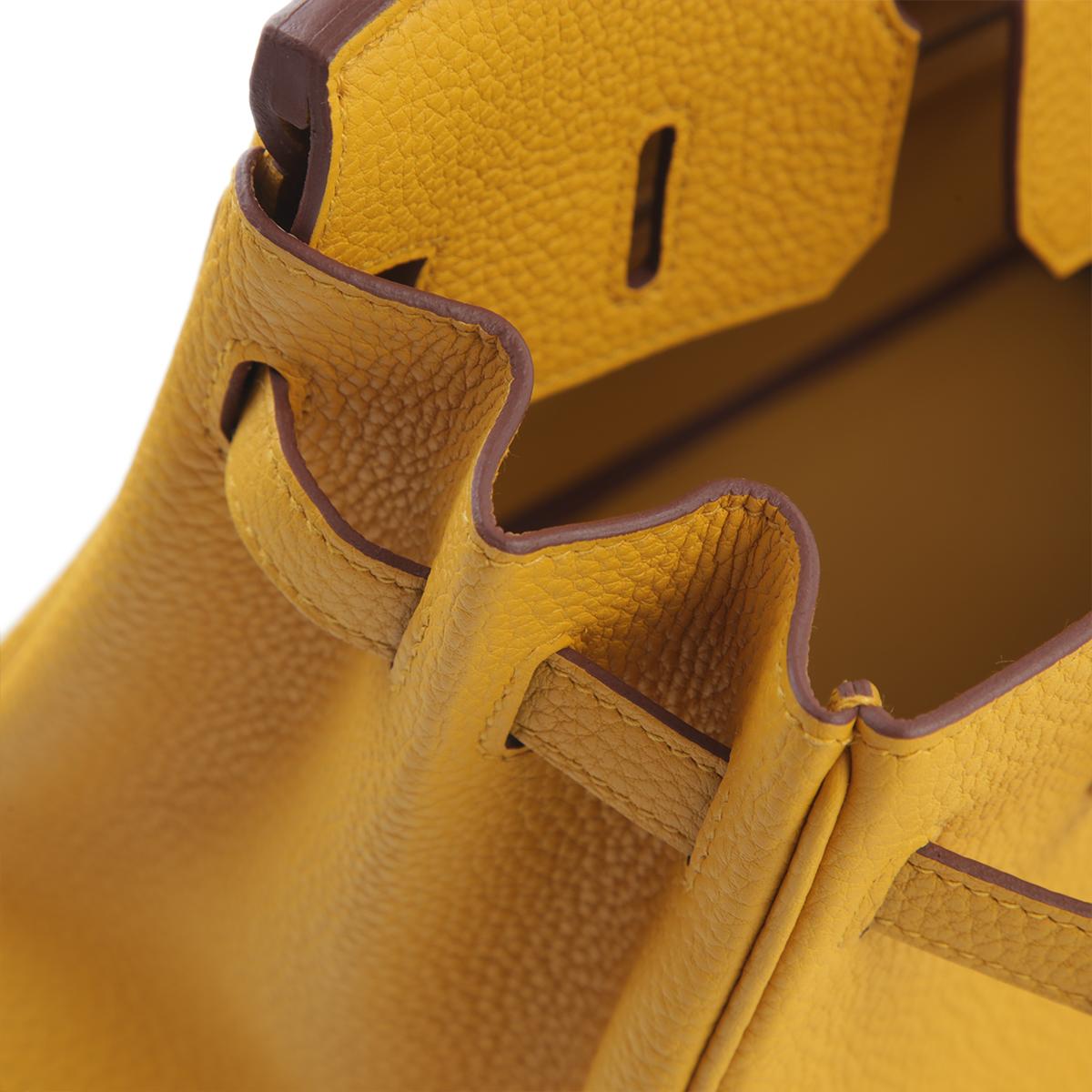 Brand New ( Rank N ) HERMÈS Birkin 25 Jaune Ambre (9D) Togo Palladium hardware B (2023) - 12