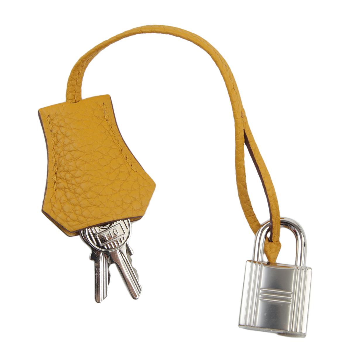 Brand New ( Rank N ) HERMÈS Birkin 25 Jaune Ambre (9D) Togo Palladium hardware B (2023) - 14