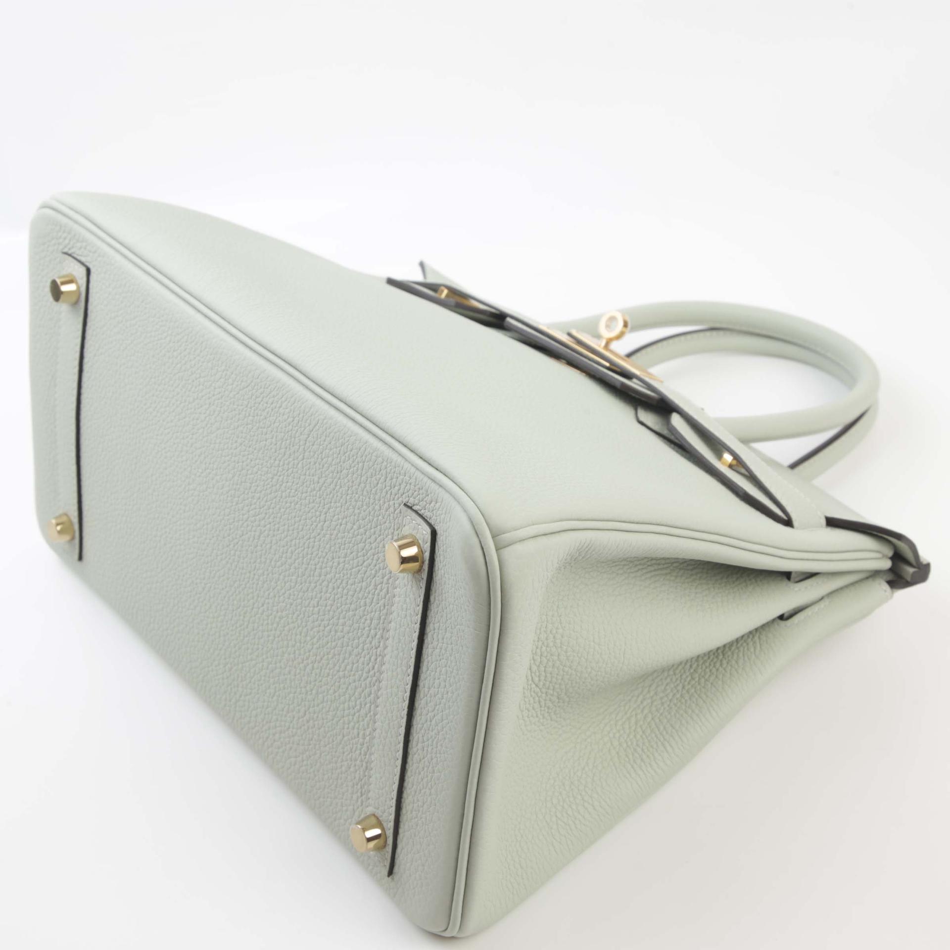 Unused ( Rank NS ) HERMÈS Birkin 30 Gris Neve (0W) Togo Gold hardware B (2023) - 5