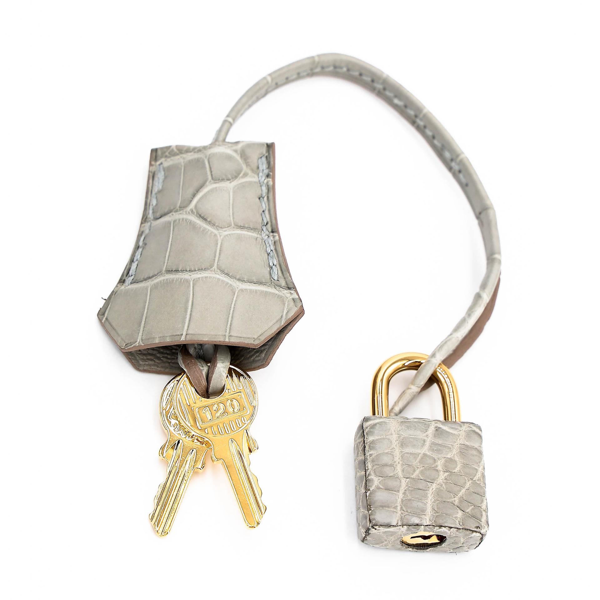 Unused ( Rank NS ) HERMÈS Birkin 25 Sellier Gris Perle (80) Matte Alligator Gold hardware B (2023) - 15