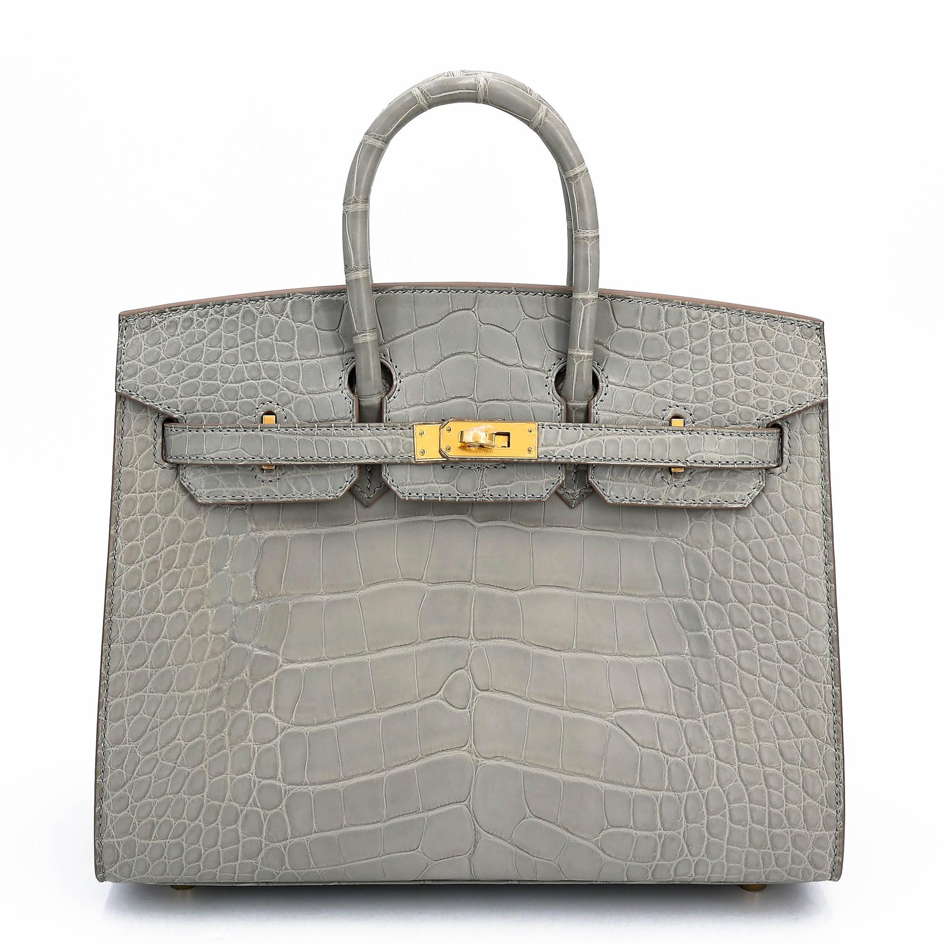 Unused ( Rank NS ) HERMÈS Birkin 25 Sellier Gris Perle (80) Matte Alligator Gold hardware B (2023) - 1