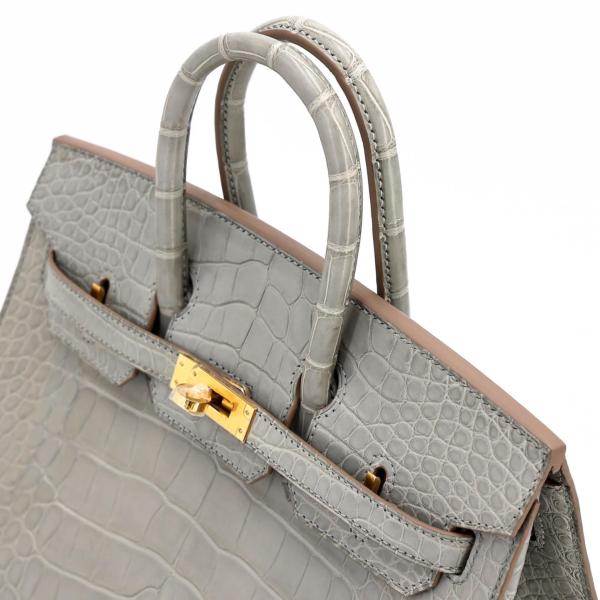 Unused ( Rank NS ) HERMÈS Birkin 25 Sellier Gris Perle (80) Matte Alligator Gold hardware B (2023) - 3