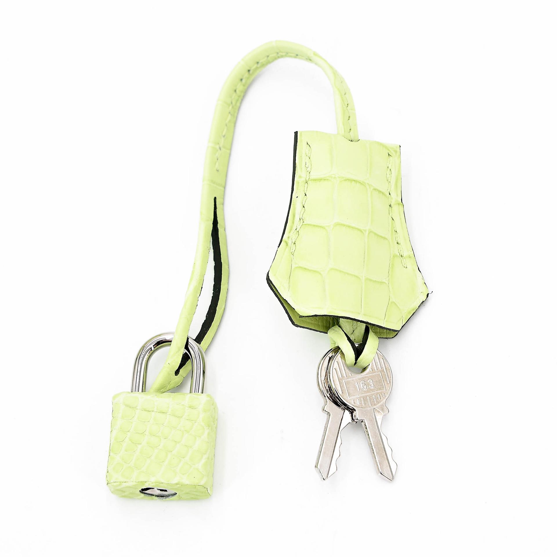 Unused ( Rank NS ) HERMÈS Birkin 25 Jaune Bourgeon (R9) Matte Alligator Palladium hardware B (2023) - 17