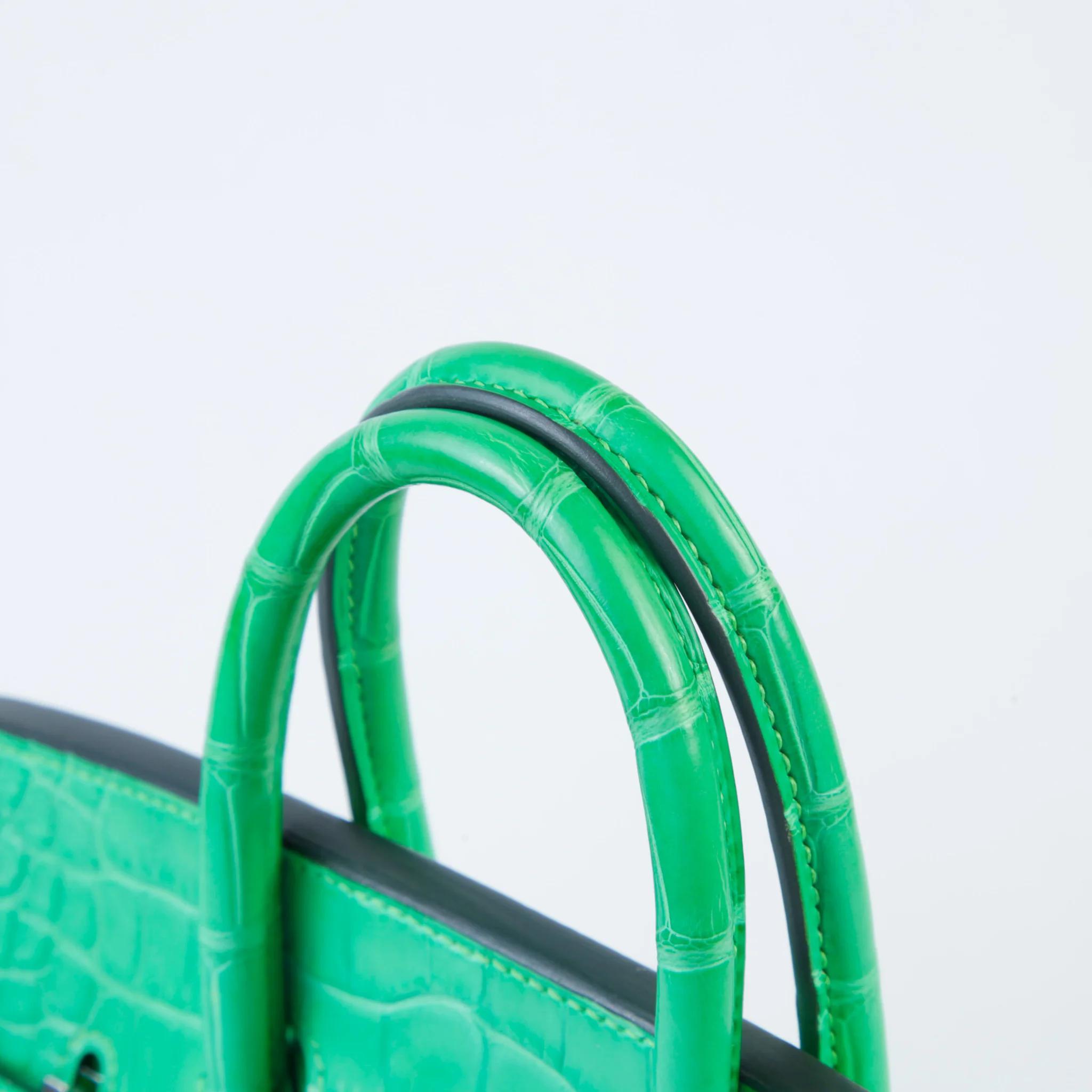 Unused ( Rank NS ) HERMÈS Birkin 25 Touch Vert Comics (0Z) Matte Alligator Togo Palladium hardware B (2023) - 3