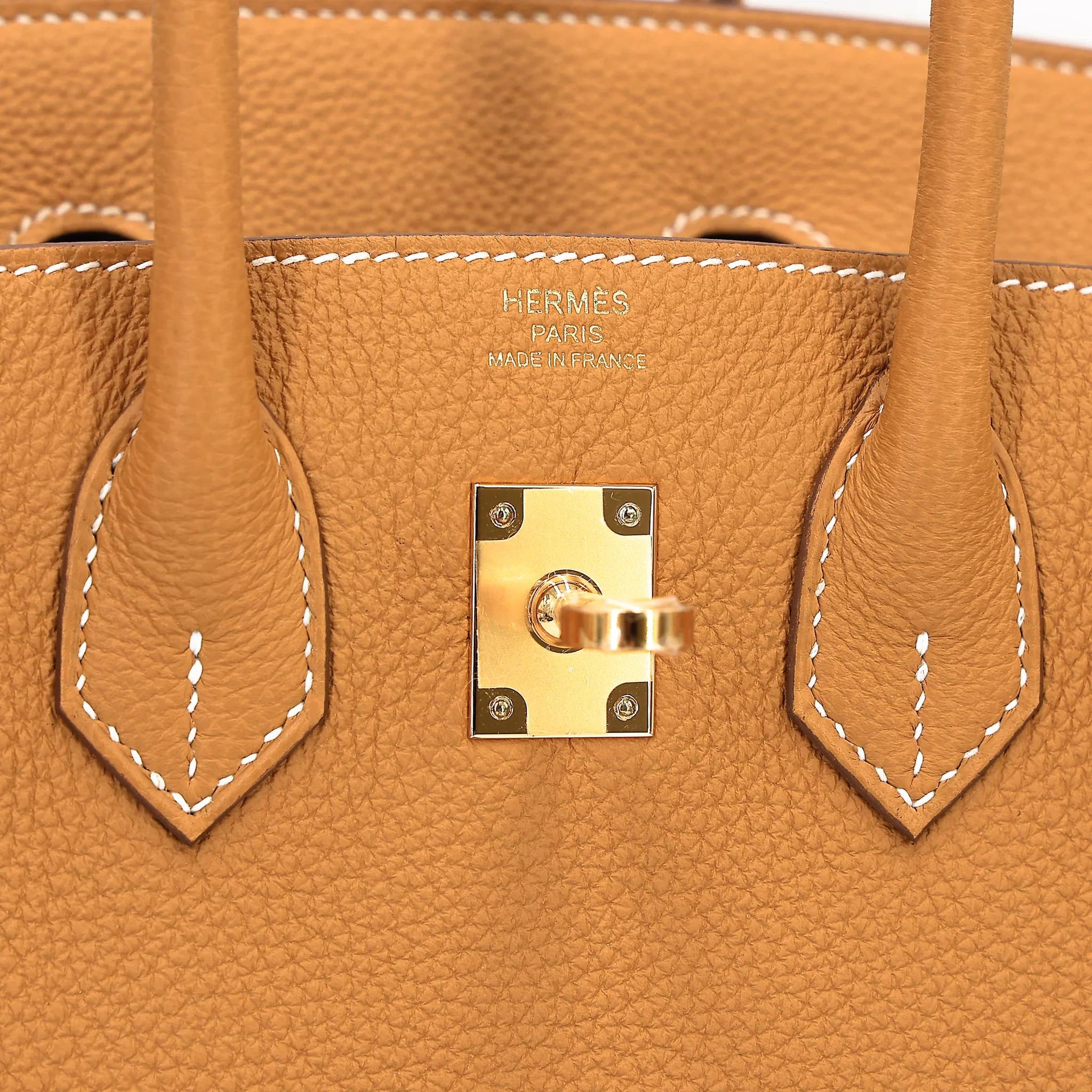 Brand New ( Rank N ) HERMÈS Birkin 25 Natural Sable (21) Togo Gold hardware K (2025) - 10