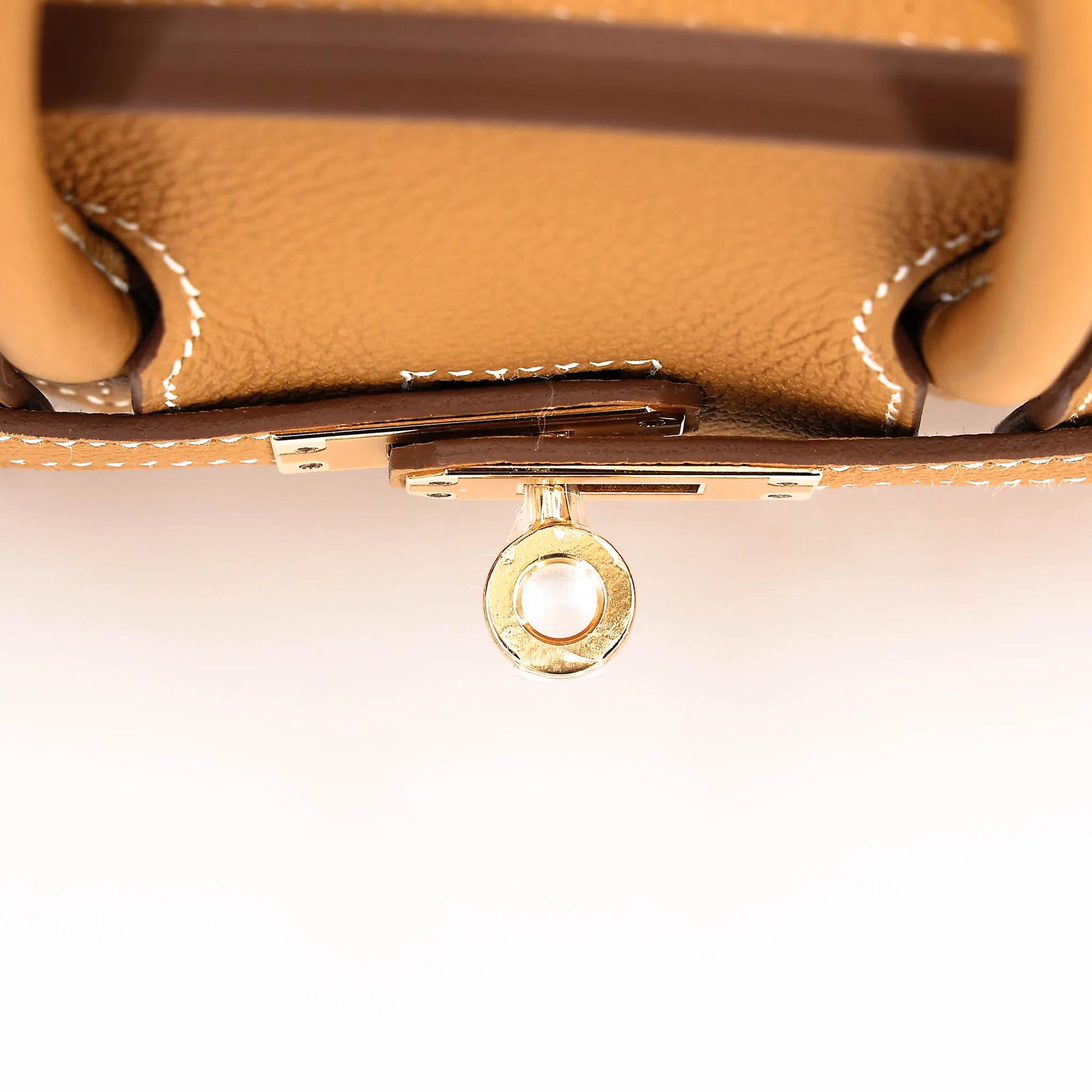 Brand New ( Rank N ) HERMÈS Birkin 25 Natural Sable (21) Togo Gold hardware K (2025) - 9
