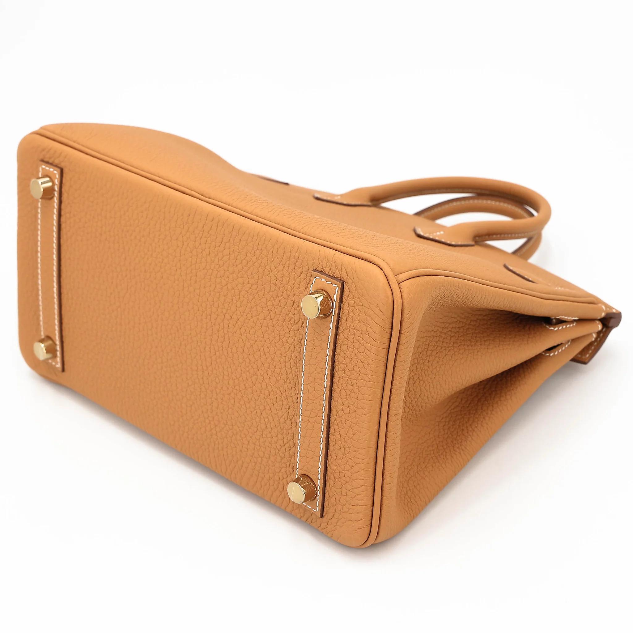 Brand New ( Rank N ) HERMÈS Birkin 25 Natural Sable (21) Togo Gold hardware K (2025) - 6