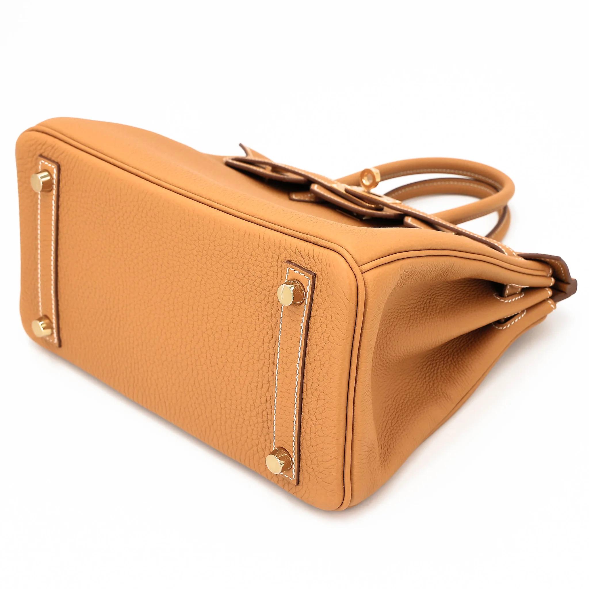 Brand New ( Rank N ) HERMÈS Birkin 25 Natural Sable (21) Togo Gold hardware K (2025) - 4