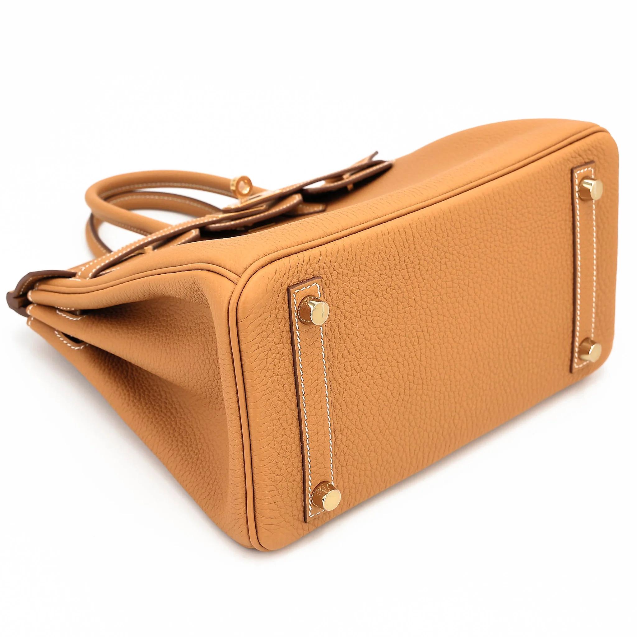 Brand New ( Rank N ) HERMÈS Birkin 25 Natural Sable (21) Togo Gold hardware K (2025) - 5