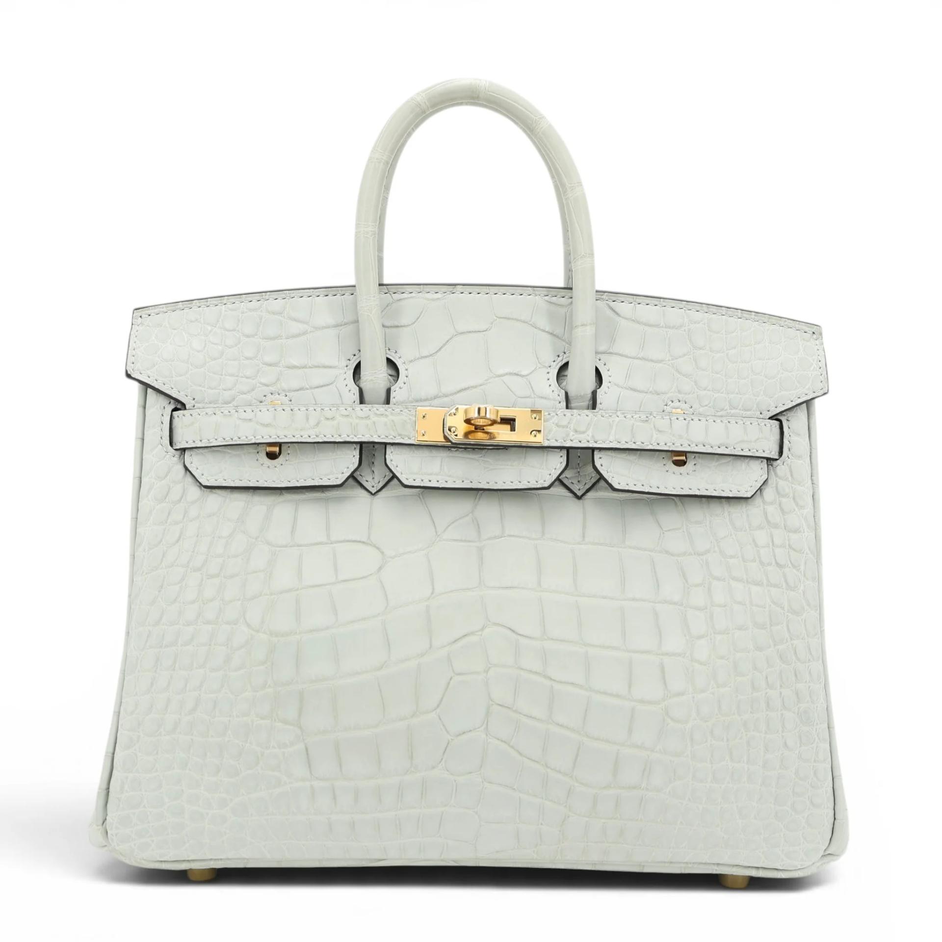 Birkin 25 Gris Neve (0W)
