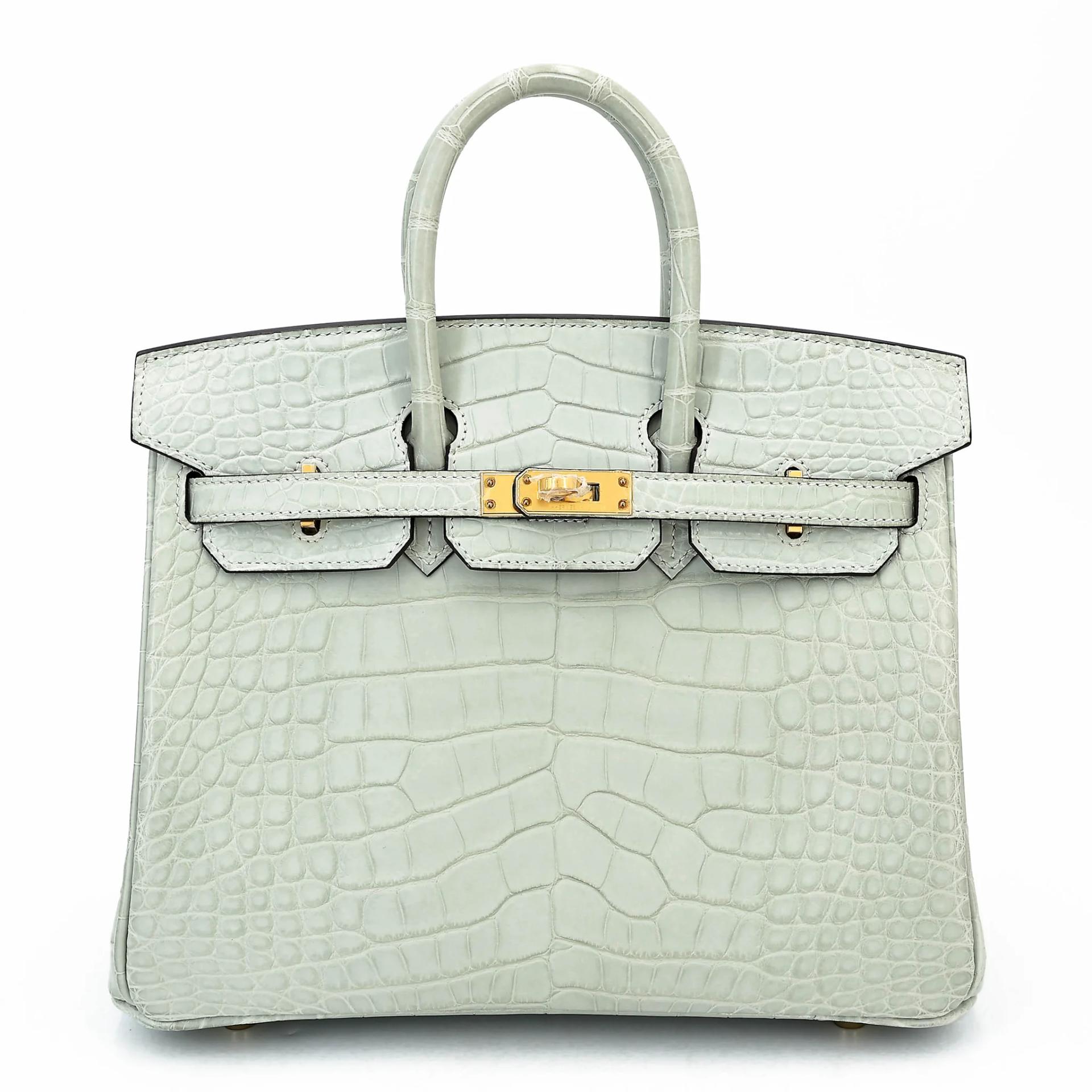 Birkin 25 Gris Neve (0W)