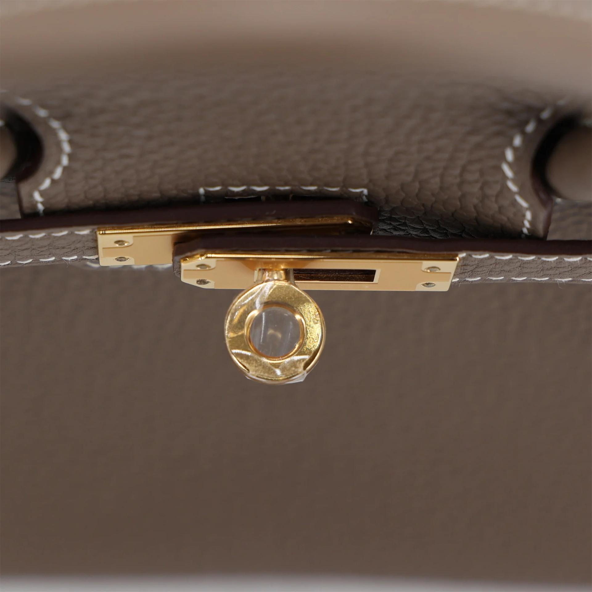 Brand New ( Rank N ) HERMÈS Birkin 25 Etoupe (18) Togo Gold hardware K (2025) - 9