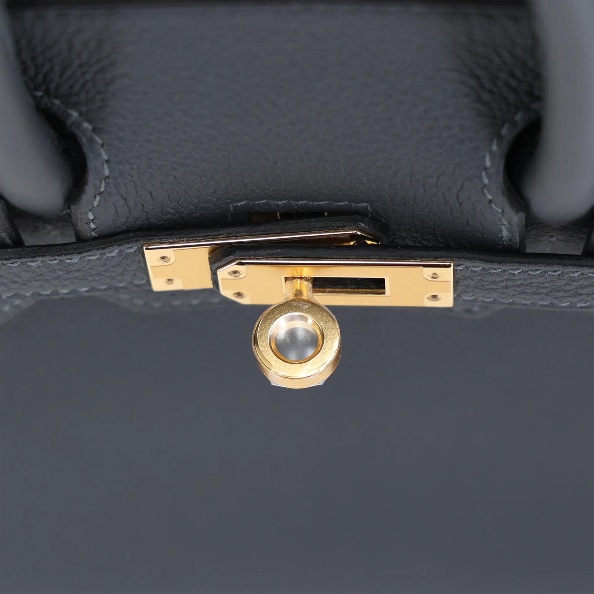 Brand New ( Rank N ) HERMÈS Birkin 25 Gris misty (H0) Togo Gold hardware G (2026) - 9