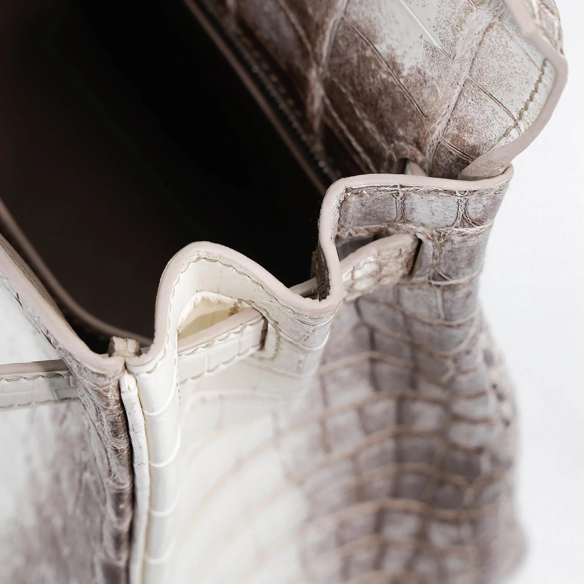 Unused ( Rank NS ) HERMÈS Limited Edition Kelly 25 Himalaya Matte Niloticus Crocodile Palladium hardware Y (2020) - 17