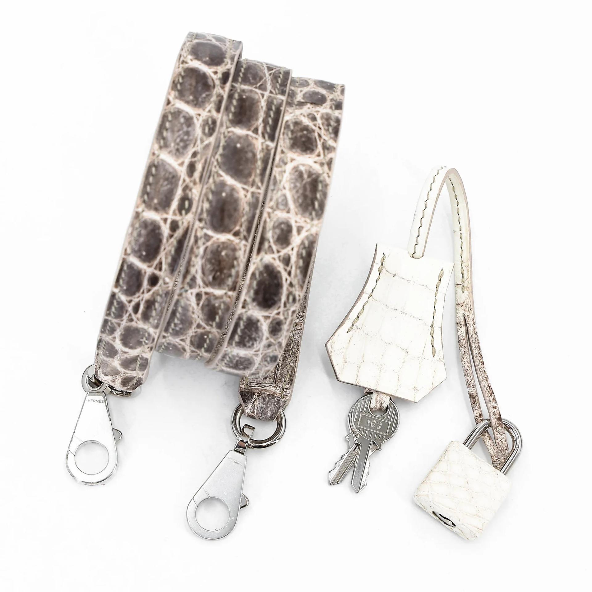 Unused ( Rank NS ) HERMÈS Limited Edition Kelly 25 Himalaya Matte Niloticus Crocodile Palladium hardware Y (2020) - 20
