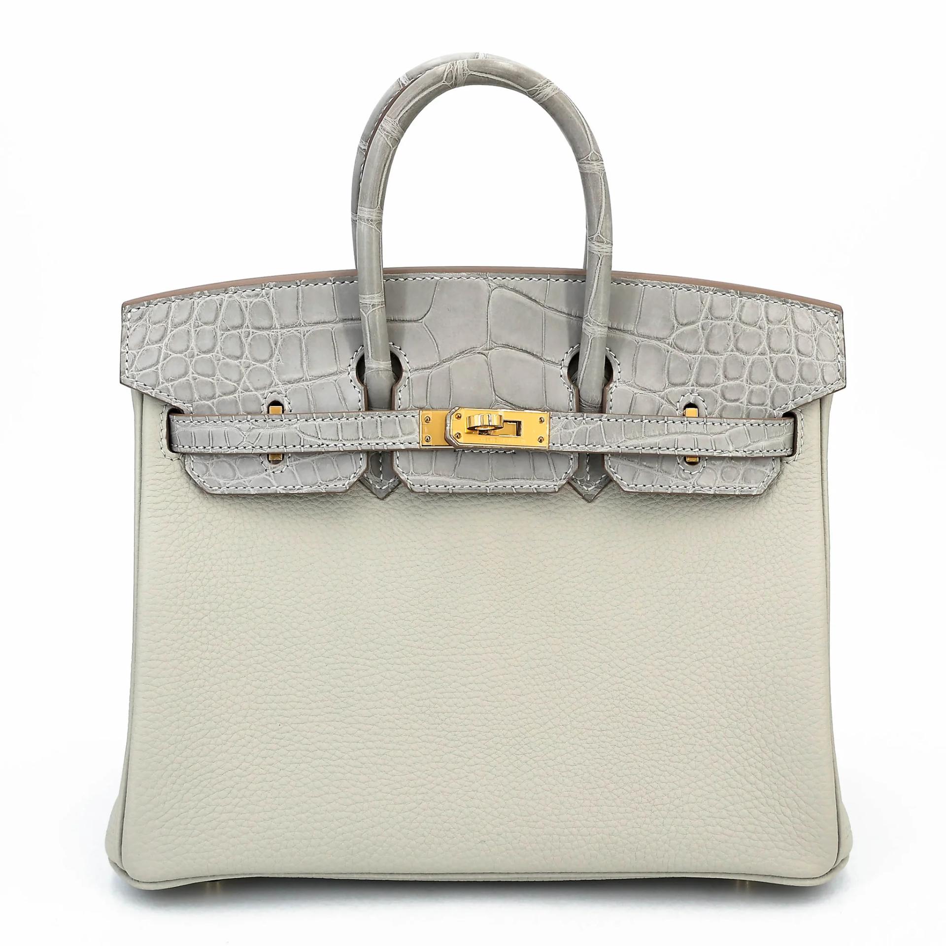 Birkin 25 Touch Gris Perle (80)