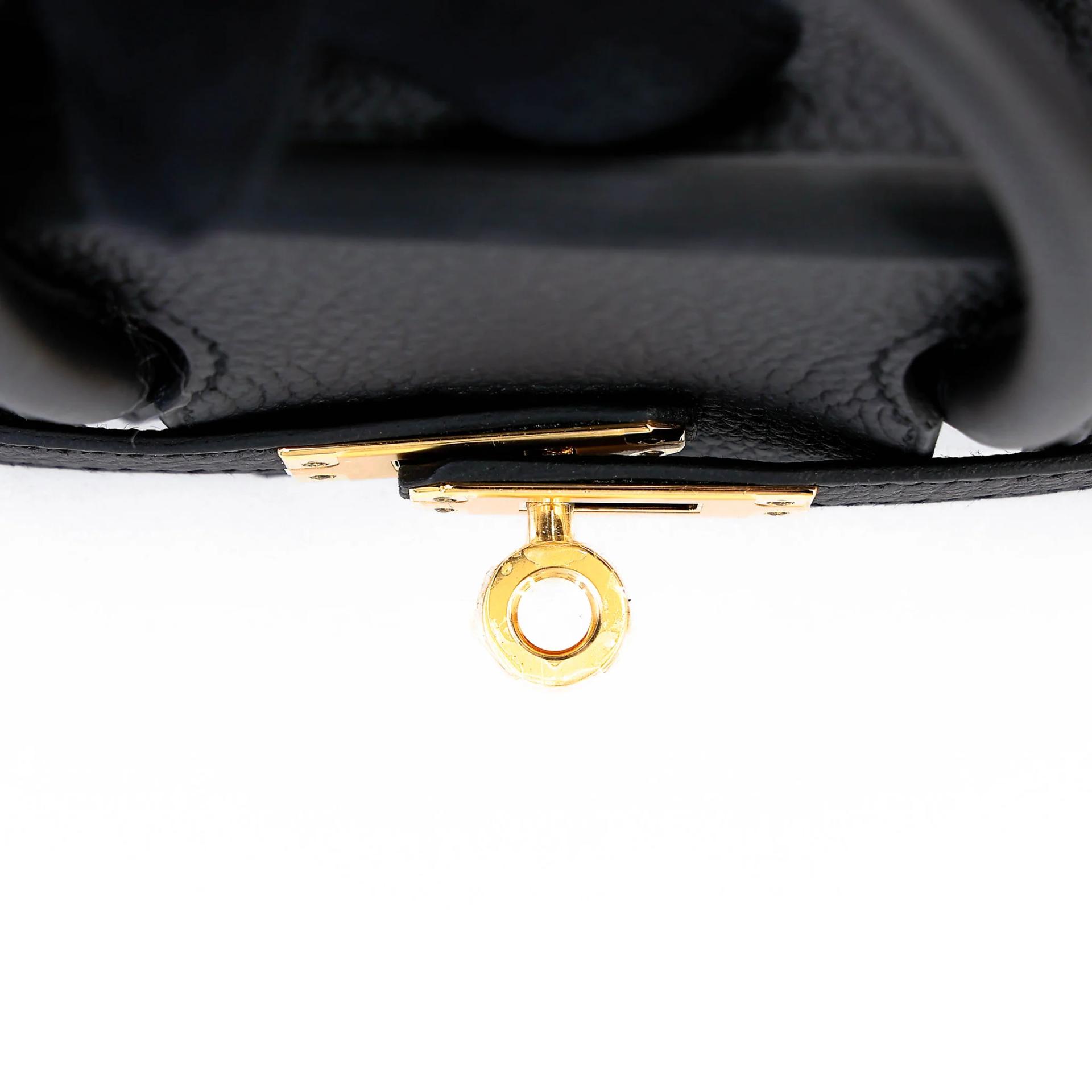 Brand New ( Rank N ) HERMÈS Birkin 25 Noir (89) Togo Gold hardware G (2026) - 9