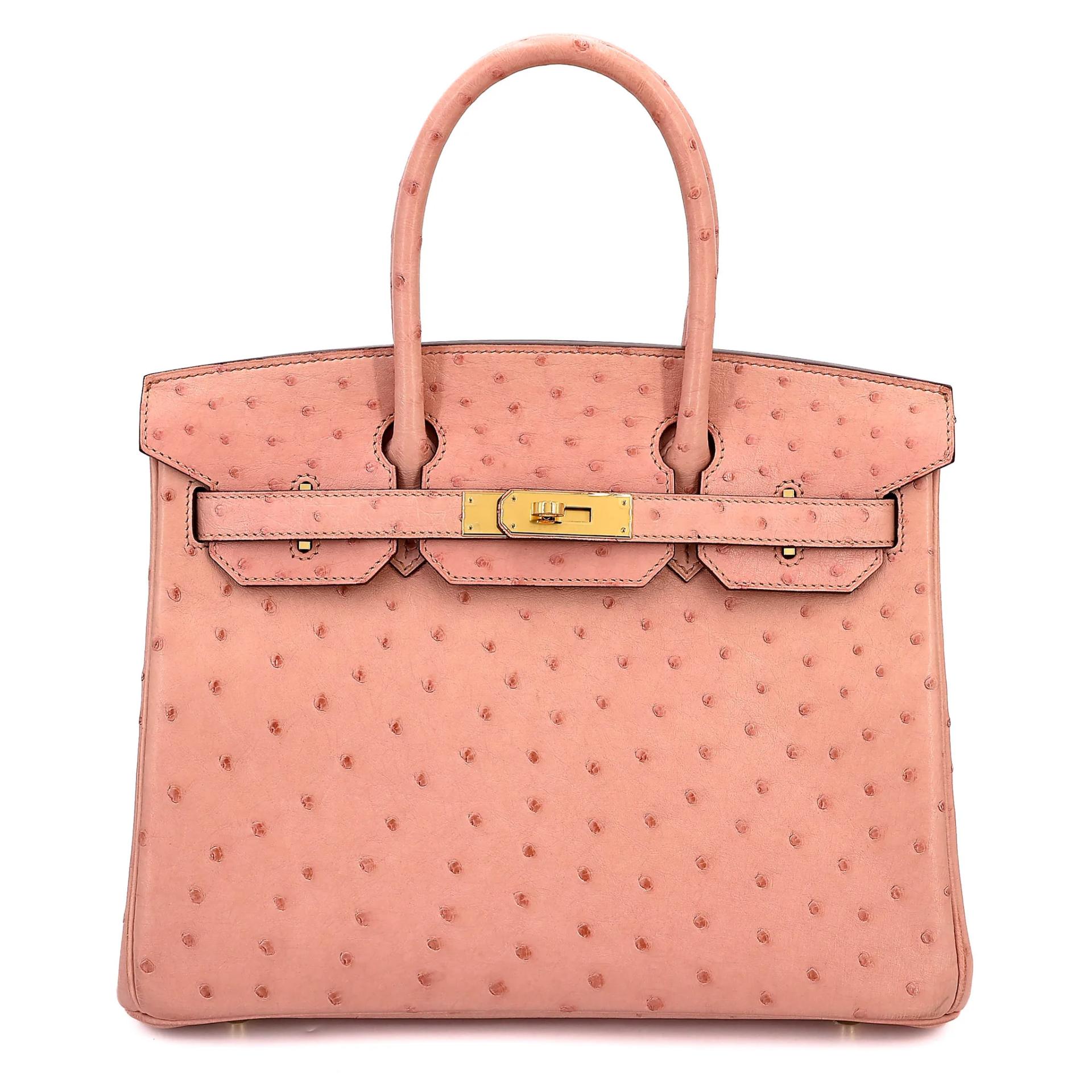 Birkin 30 Terre Cuite (94)
