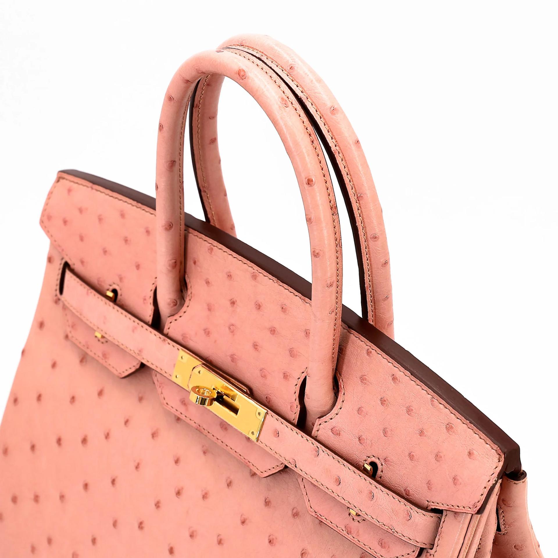 Very Good ( Rank A) HERMÈS Birkin 30 Terre Cuite (94) Ostrich Gold hardware Z (2021) - 3