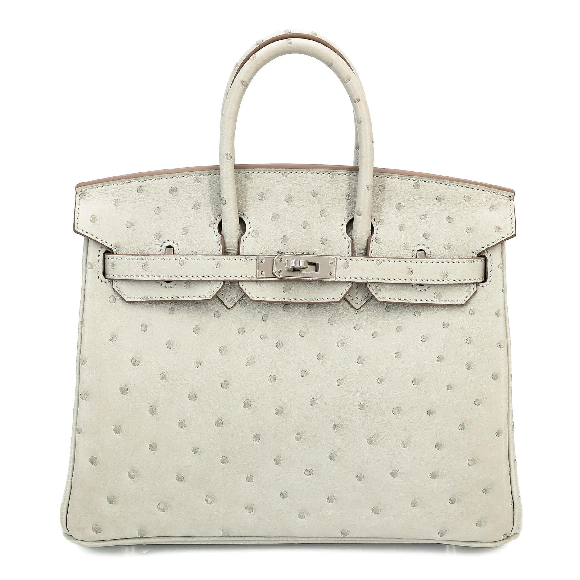 Birkin 25 Gris Perle (80)