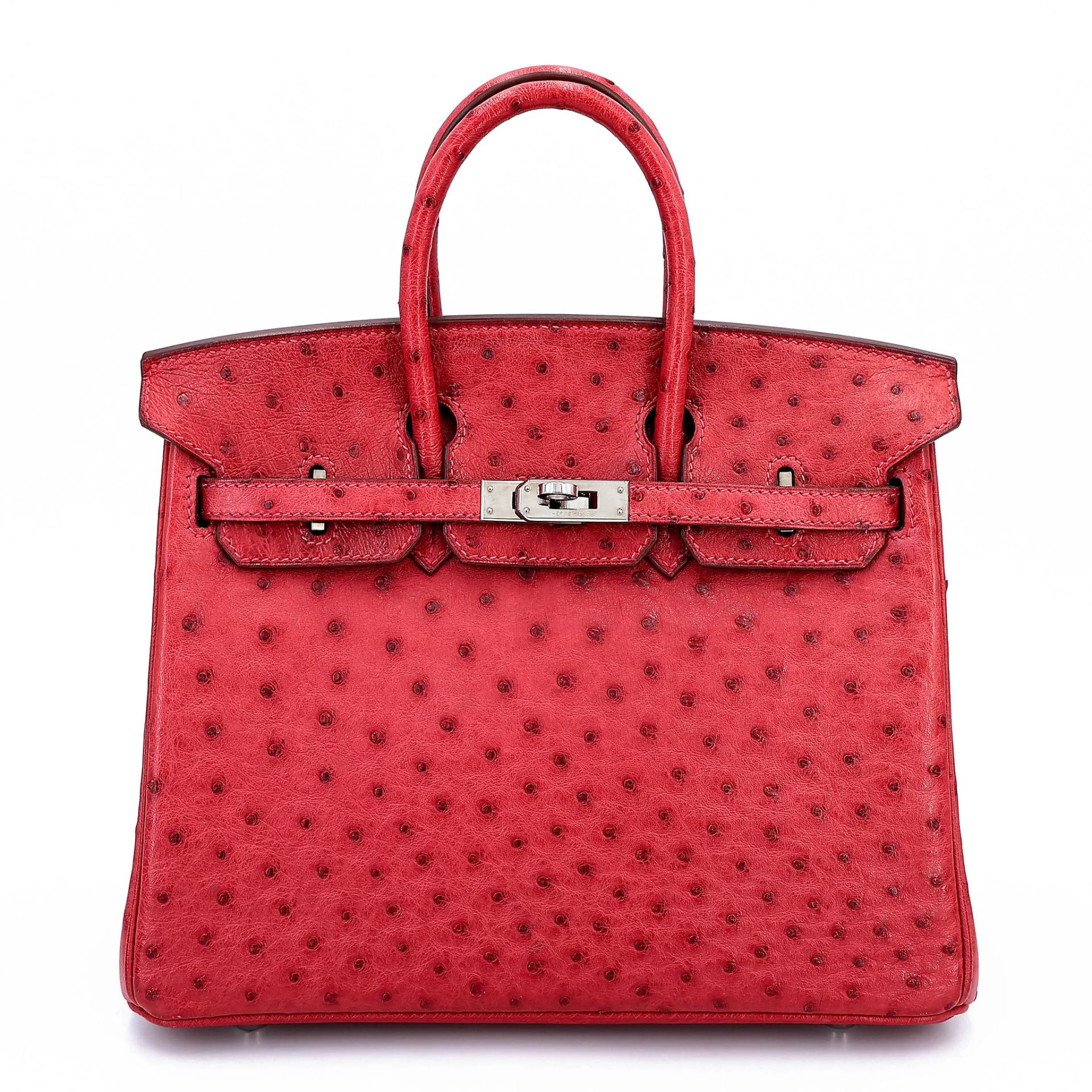 Birkin 25 Bougainvillea (A5)